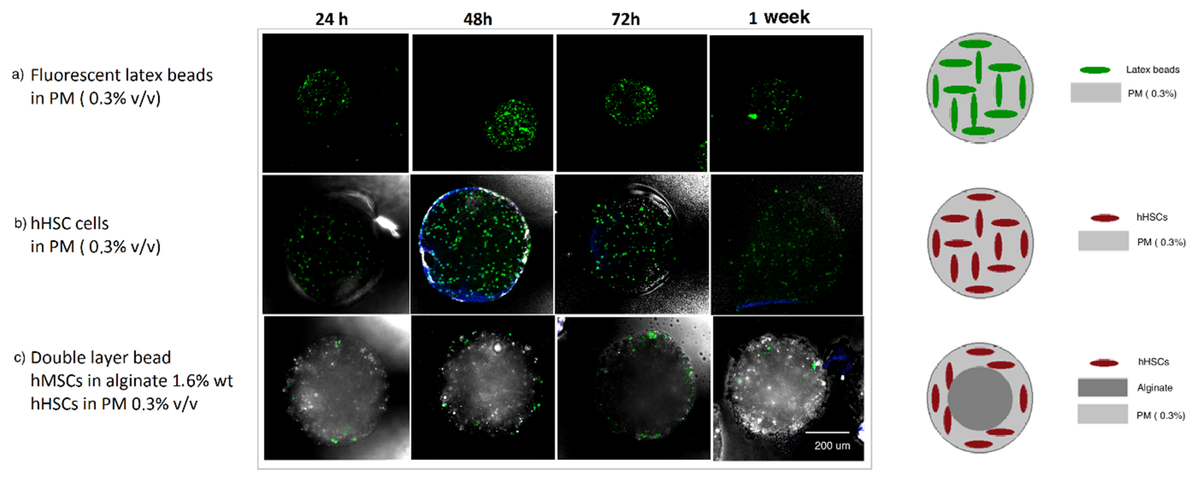 Micromachines 12 00090 g003