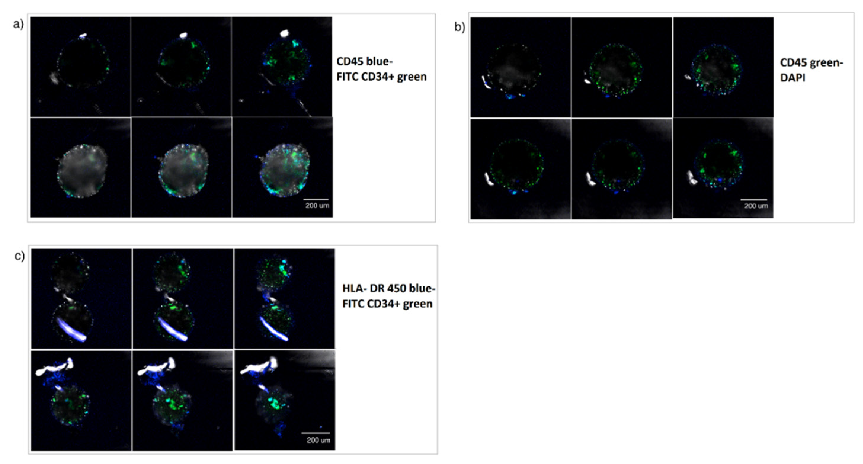 Micromachines 12 00090 g007