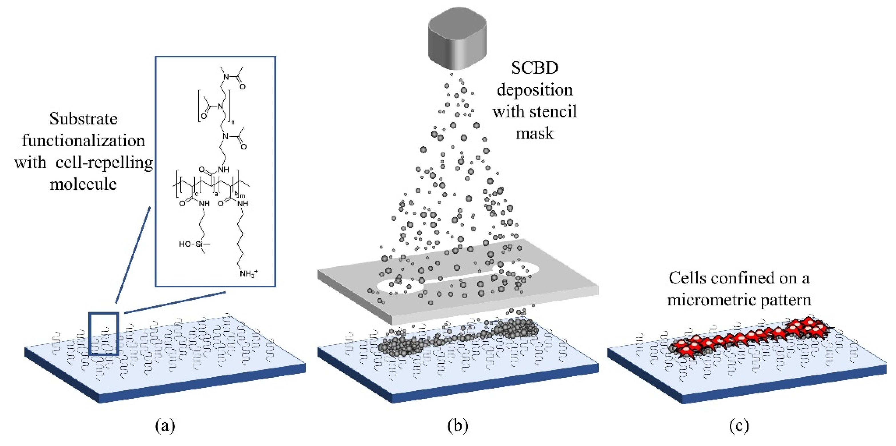Micromachines 12 00094 g001 Micromachines 12 00094 g001