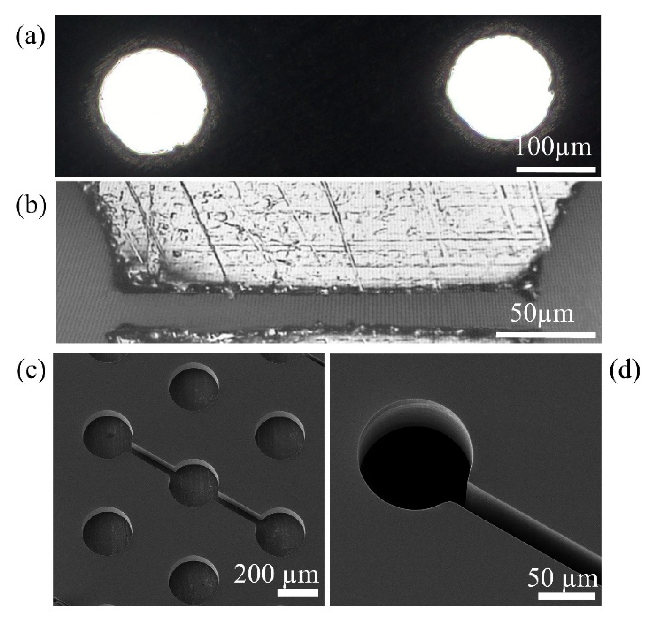 Micromachines 12 00094 g004 Micromachines 12 00094 g004