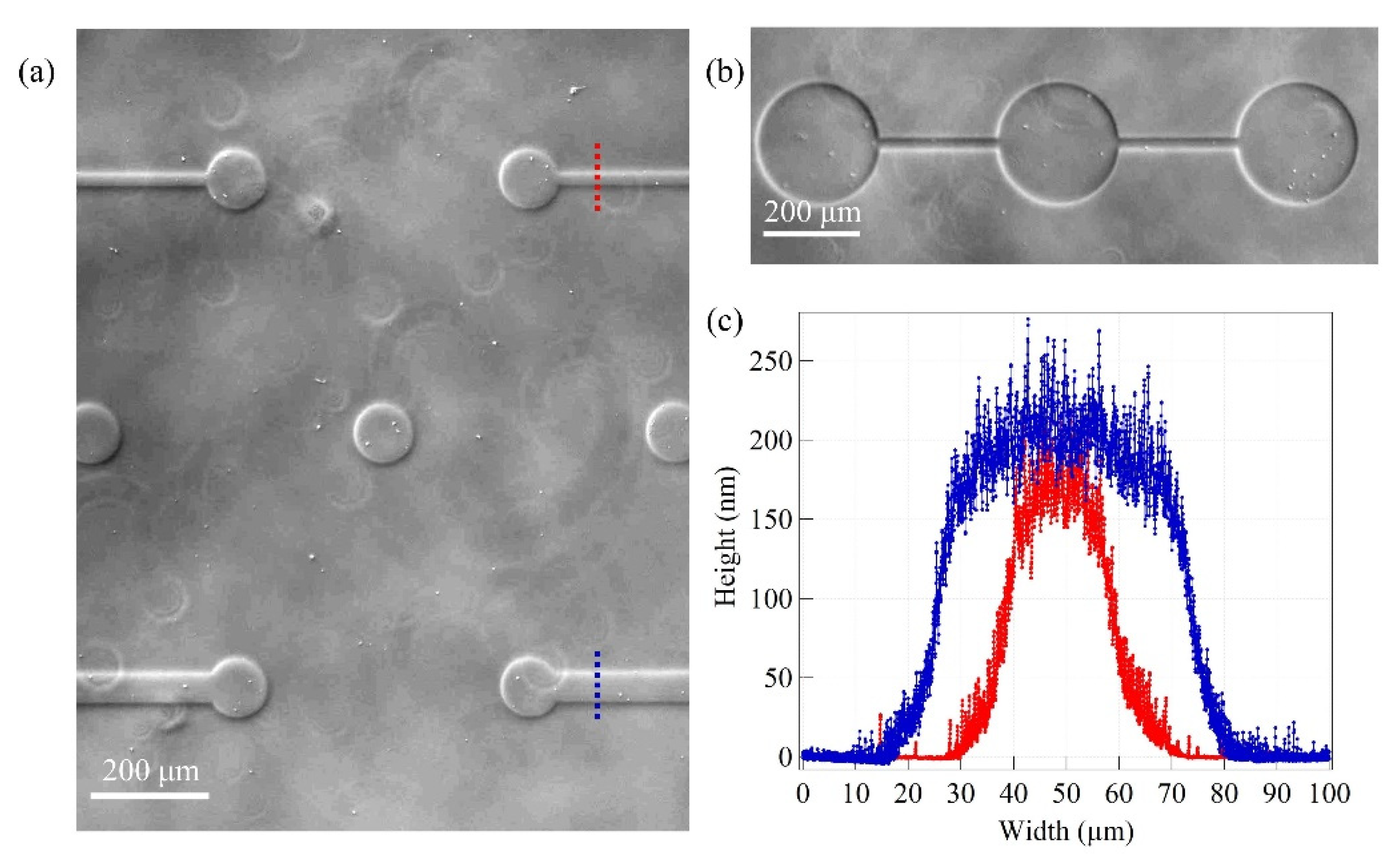 Micromachines 12 00094 g008 Micromachines 12 00094 g008
