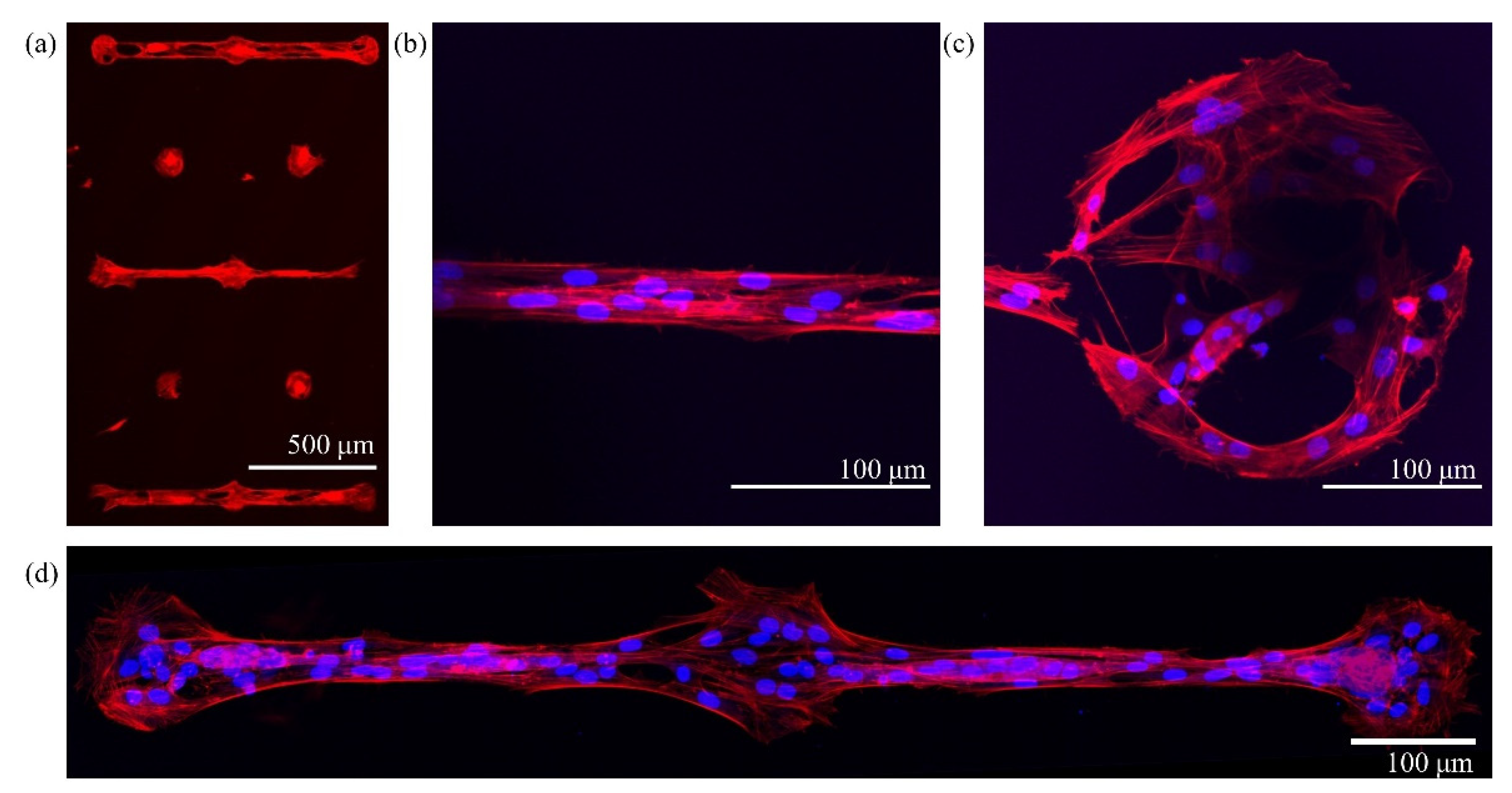 Micromachines 12 00094 g010 Micromachines 12 00094 g010