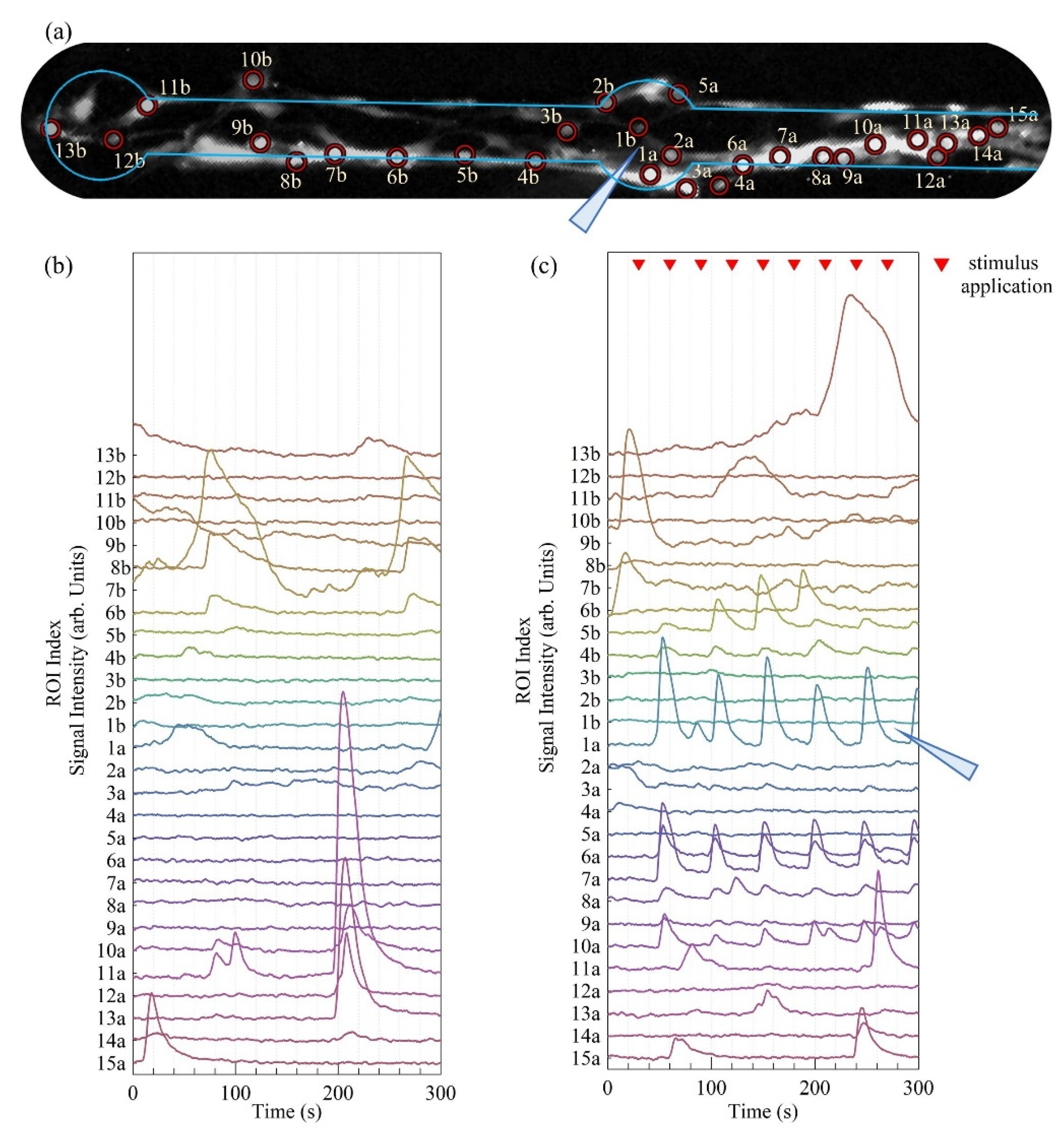 Micromachines 12 00094 g011 Micromachines 12 00094 g011