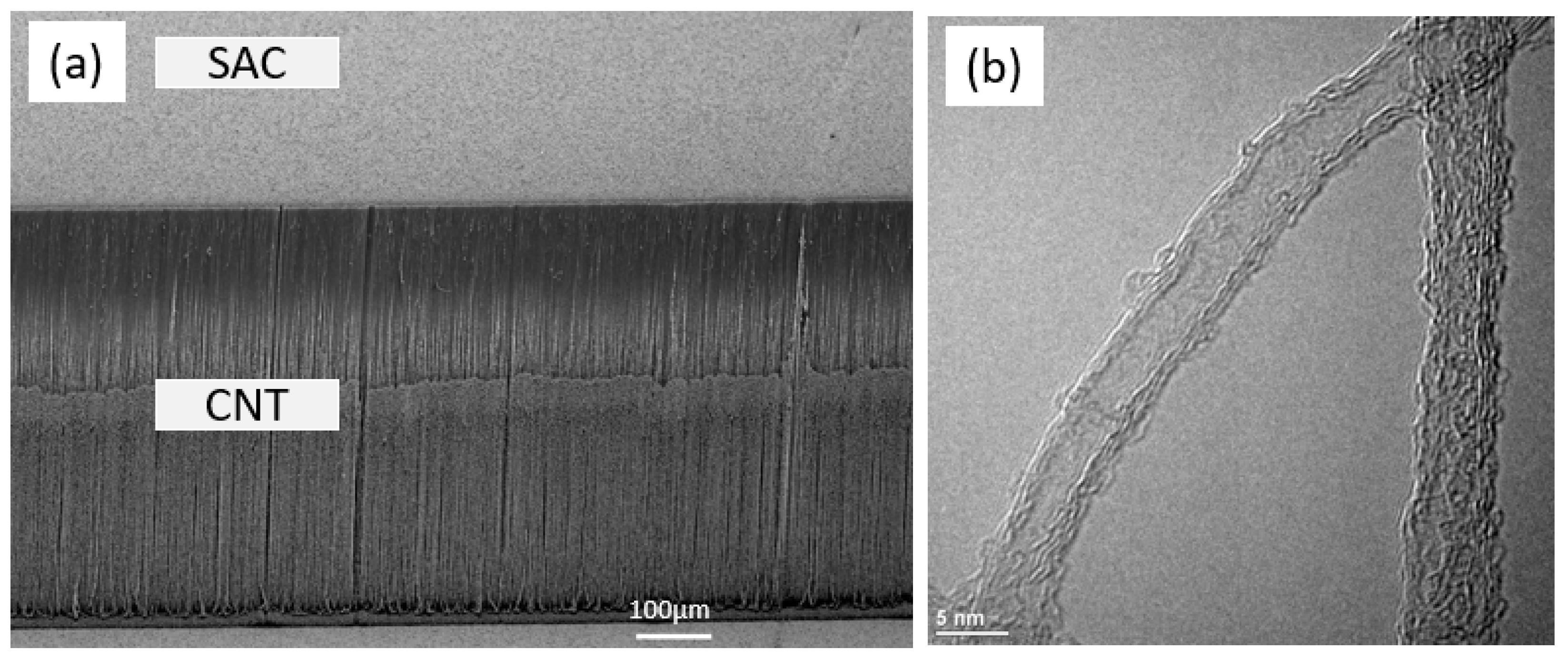 Micromachines 12 00095 g001