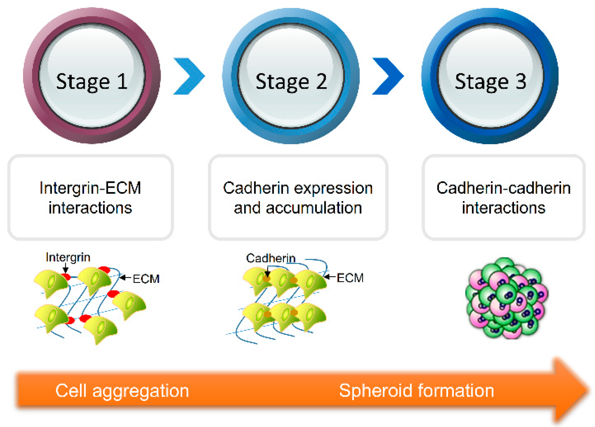 Micromachines 12 00096 g001 Micromachines 12 00096 g001