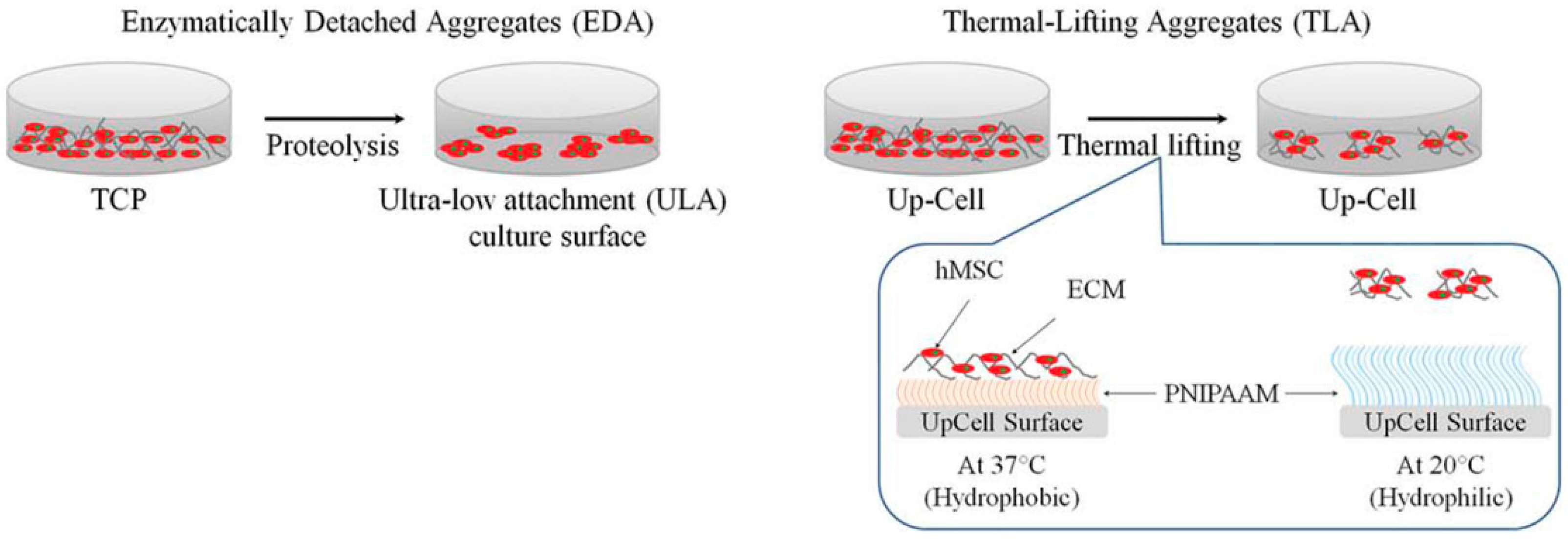 Micromachines 12 00096 g005 Micromachines 12 00096 g005