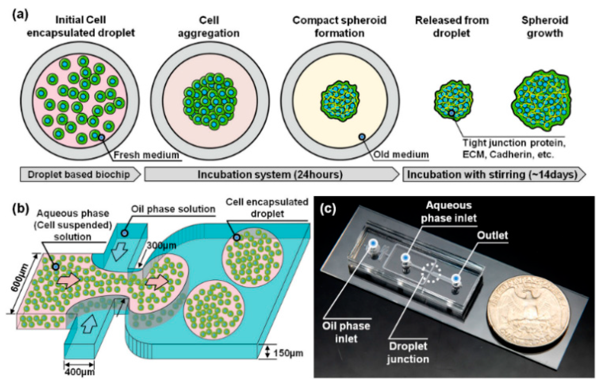Micromachines 12 00096 g007 Micromachines 12 00096 g007