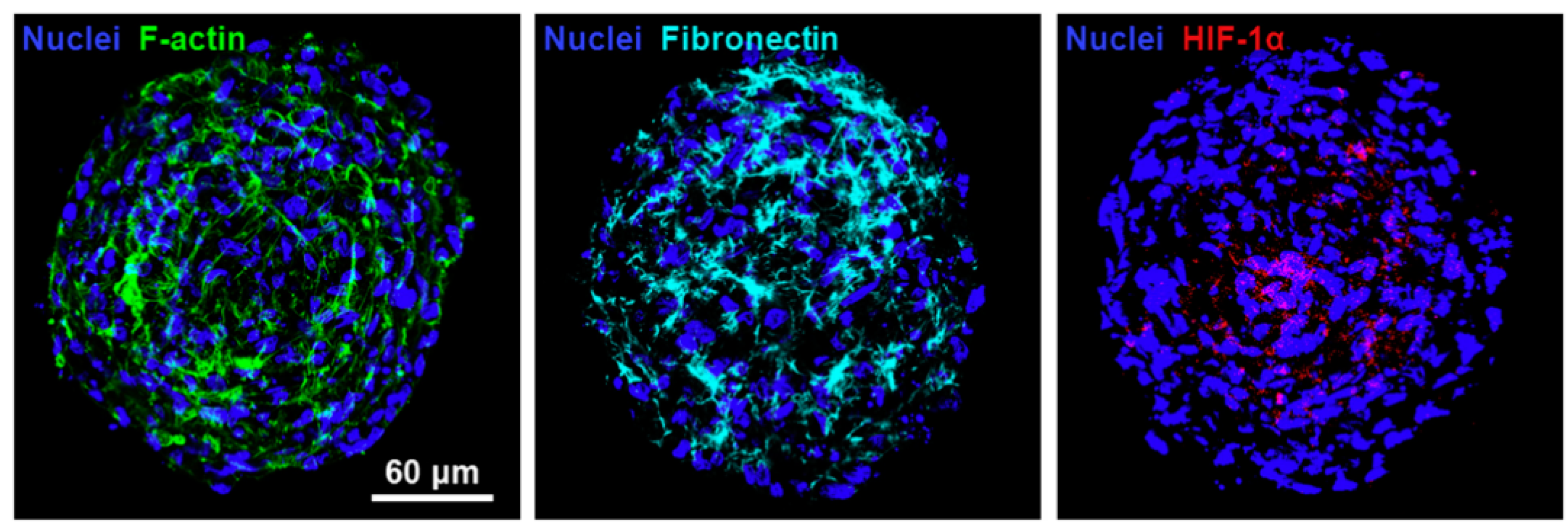 Micromachines 12 00096 g011 Micromachines 12 00096 g011