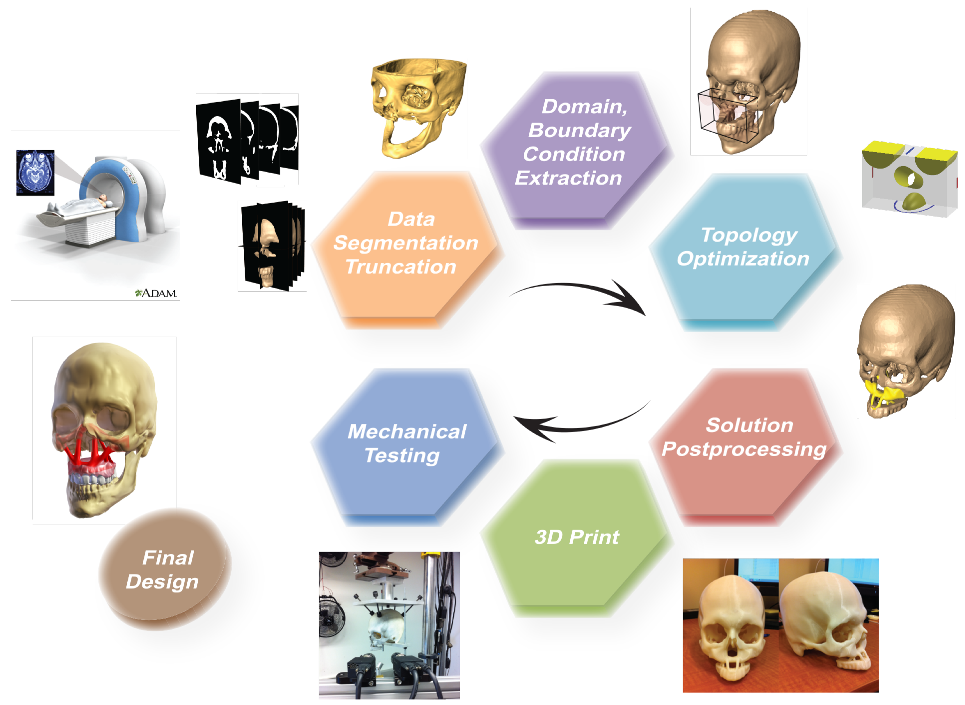 A Two-Scale Multi-Resolution Topologically Optimized Multi 