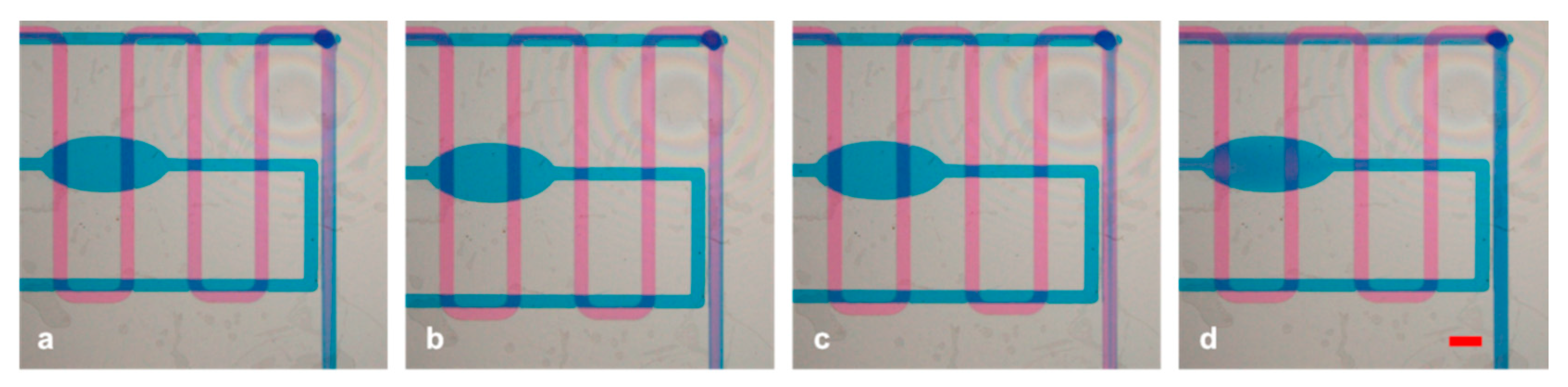 Micromachines 12 00104 g006