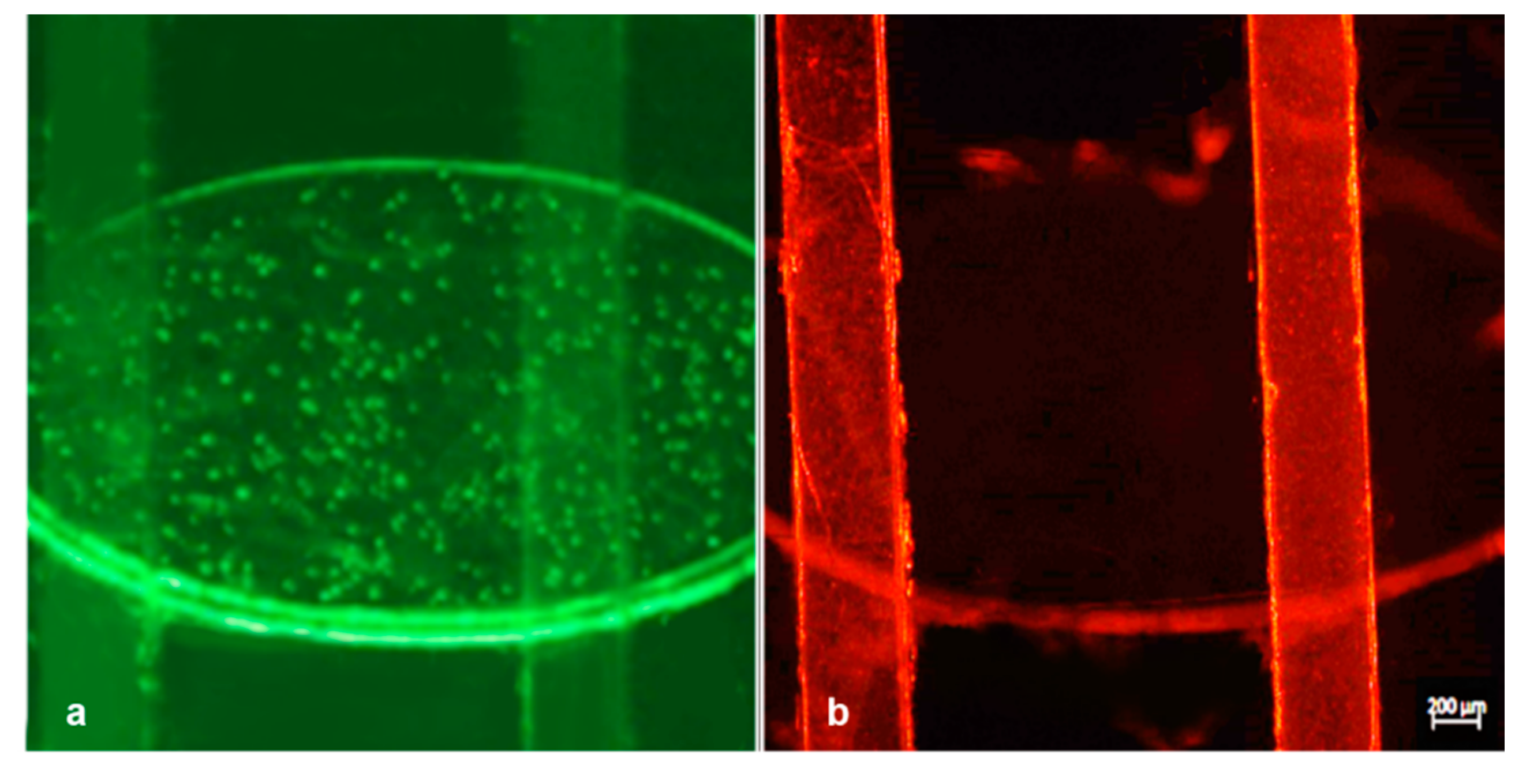 Micromachines 12 00104 g008