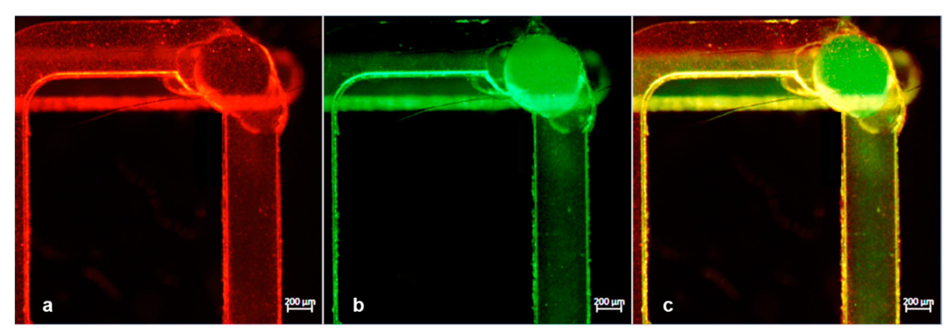 Micromachines 12 00104 g010