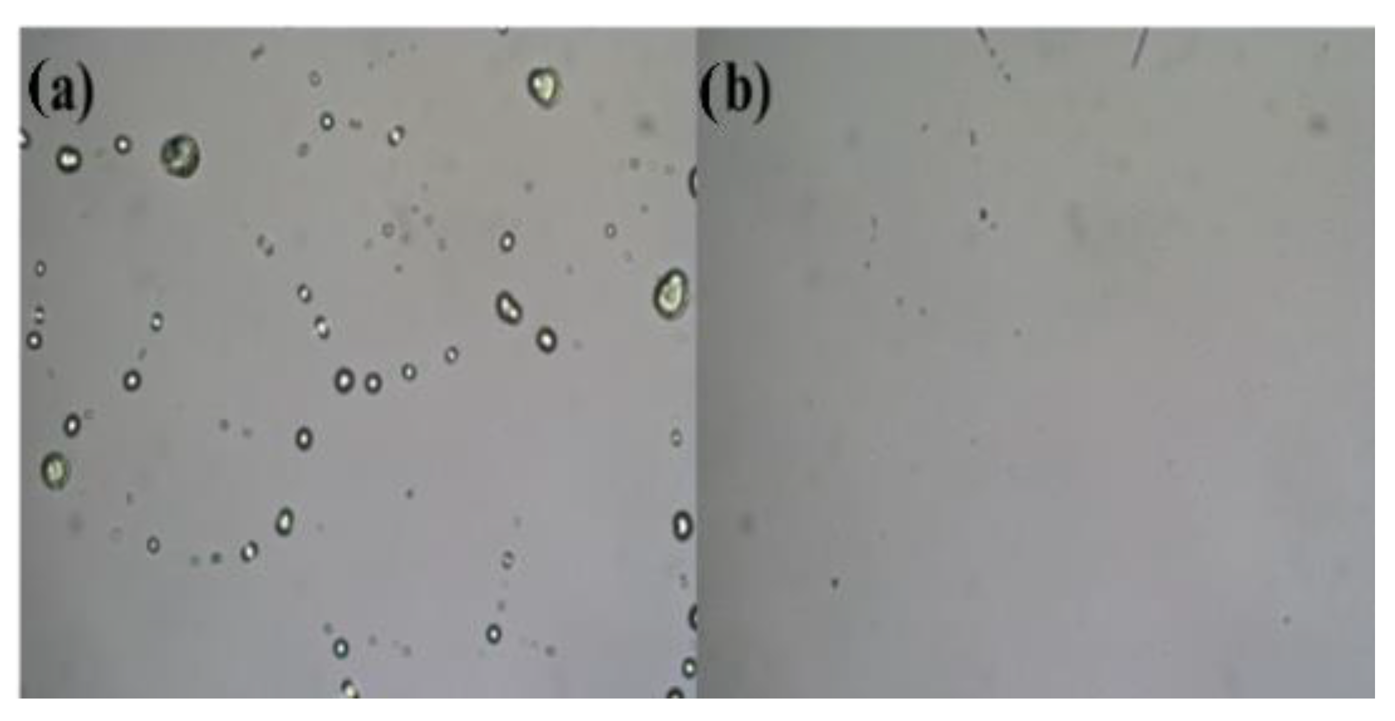 Micromachines 12 00111 g002