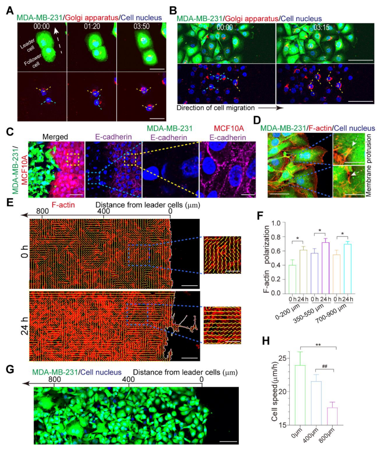 Micromachines 12 00112 g002 Micromachines 12 00112 g002
