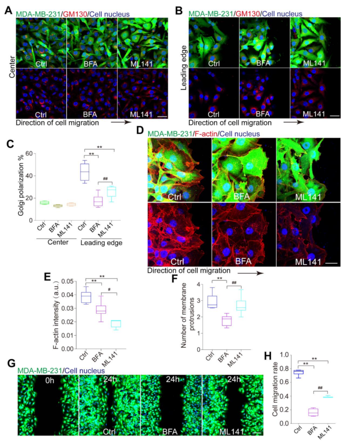 Micromachines 12 00112 g003 Micromachines 12 00112 g003