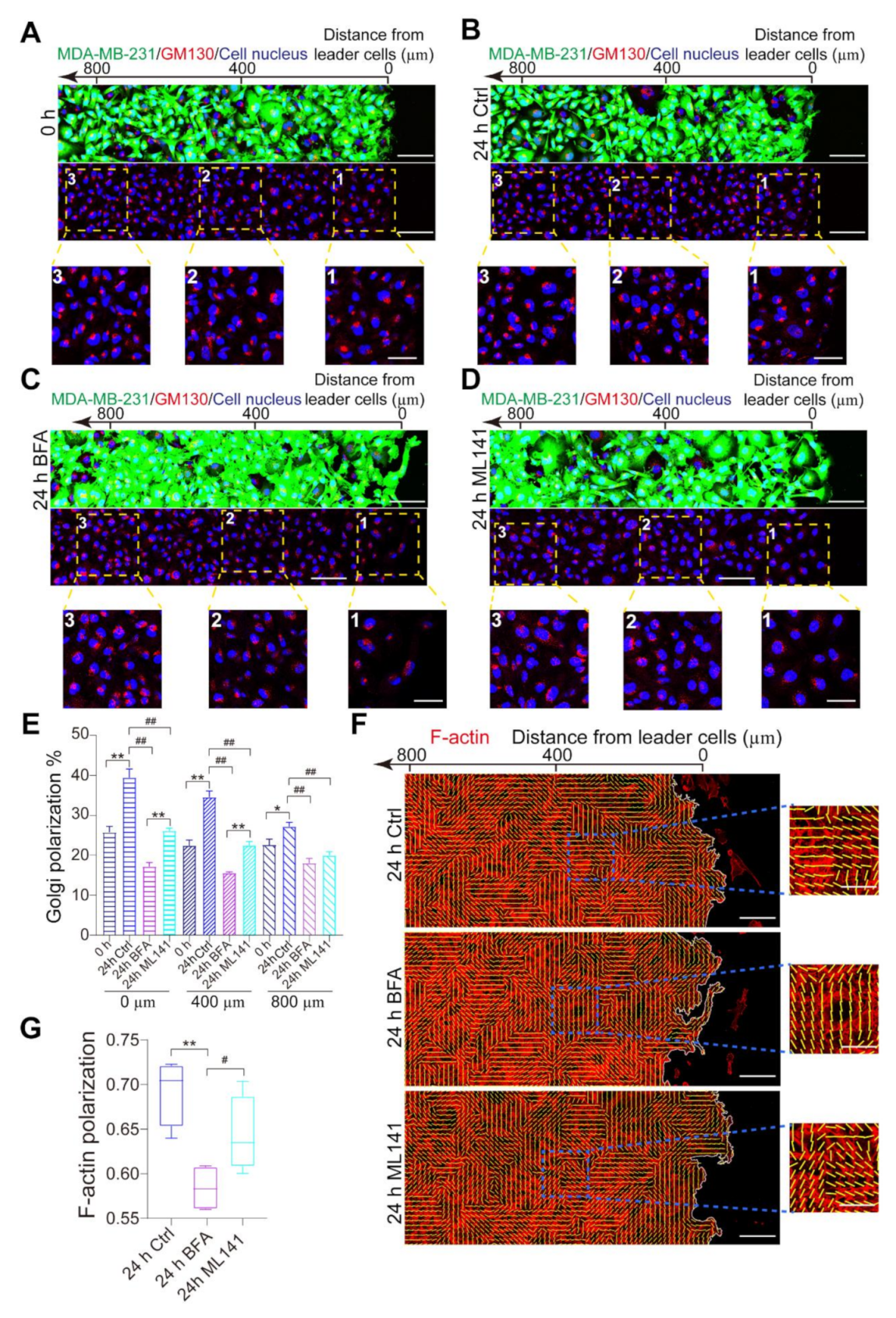 Micromachines 12 00112 g004 Micromachines 12 00112 g004