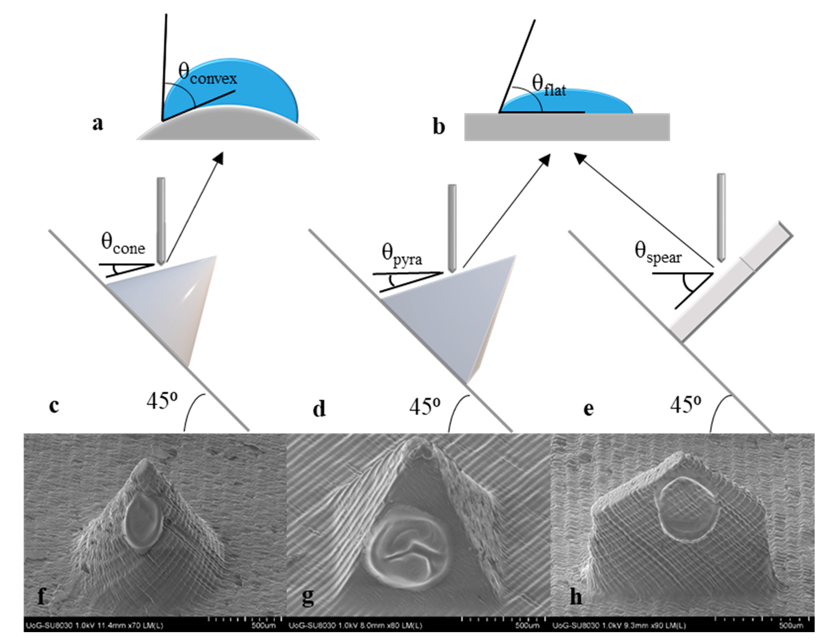 Micromachines 12 00117 g007