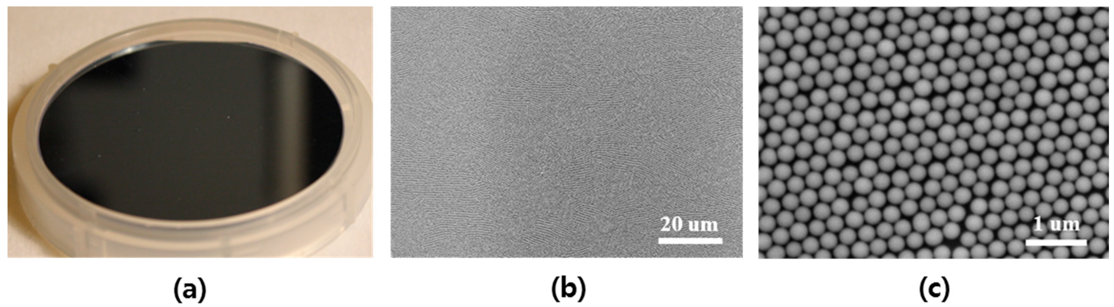 Micromachines 12 00119 g001
