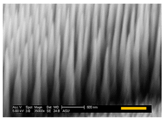 Micromachines 12 00119 i005