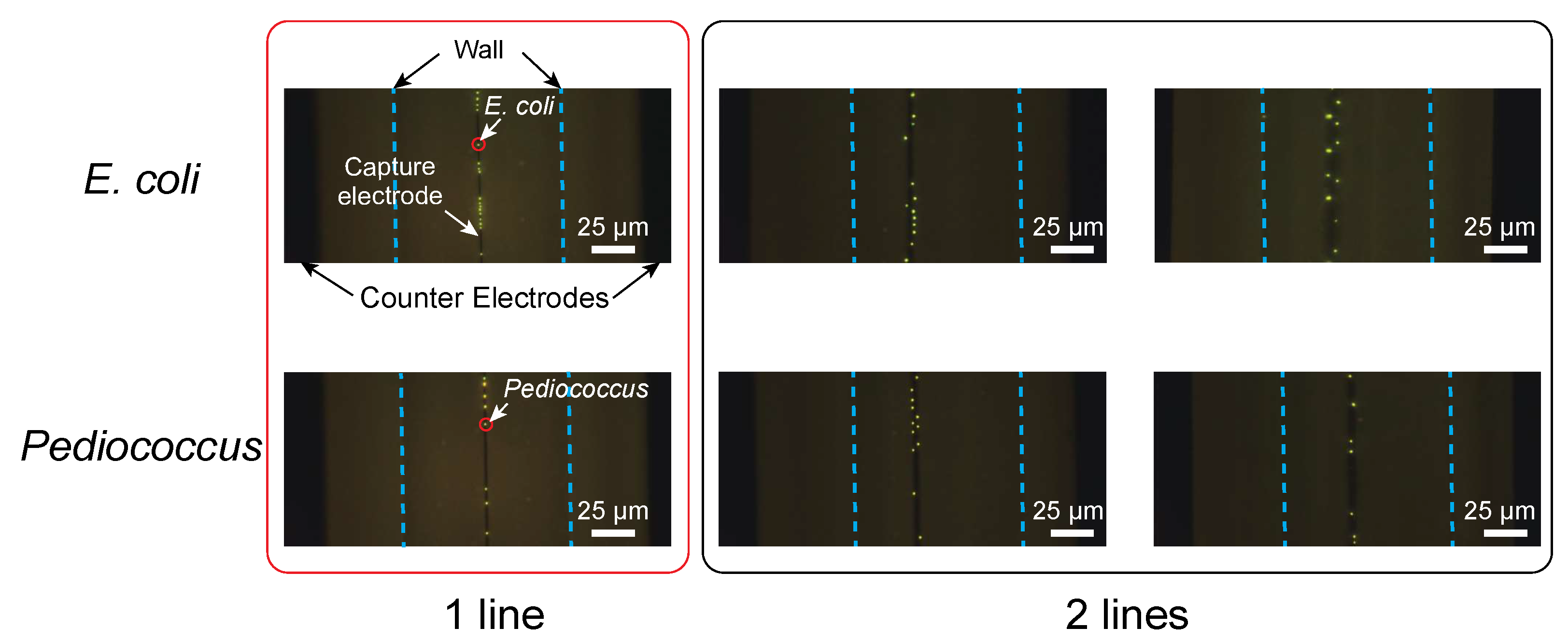 Micromachines 12 00123 g008