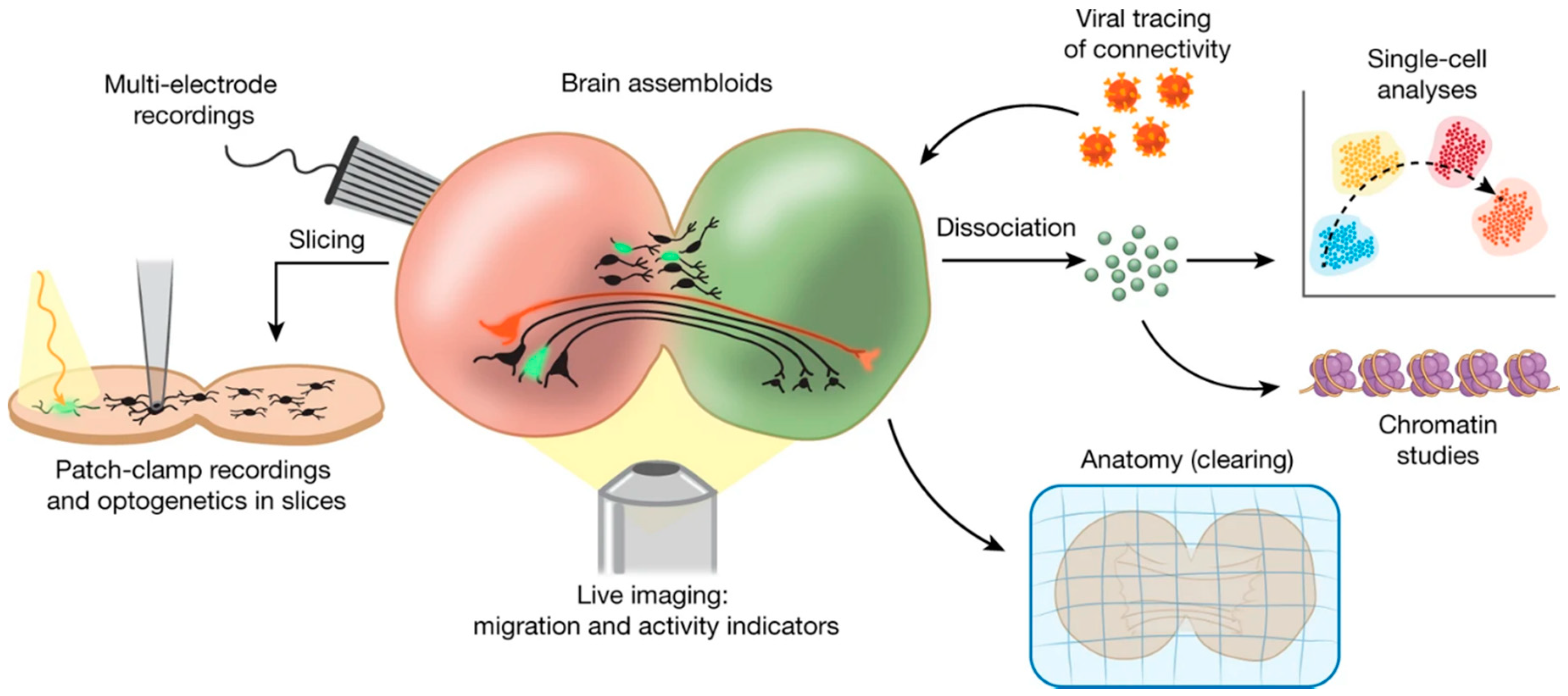 Micromachines 12 00124 g005