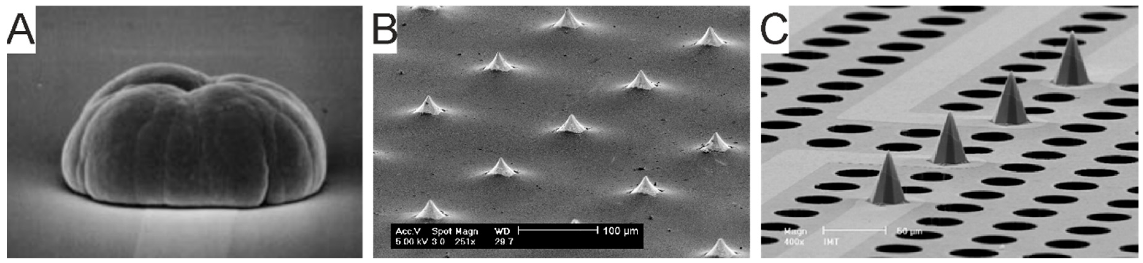 Micromachines 12 00124 g011