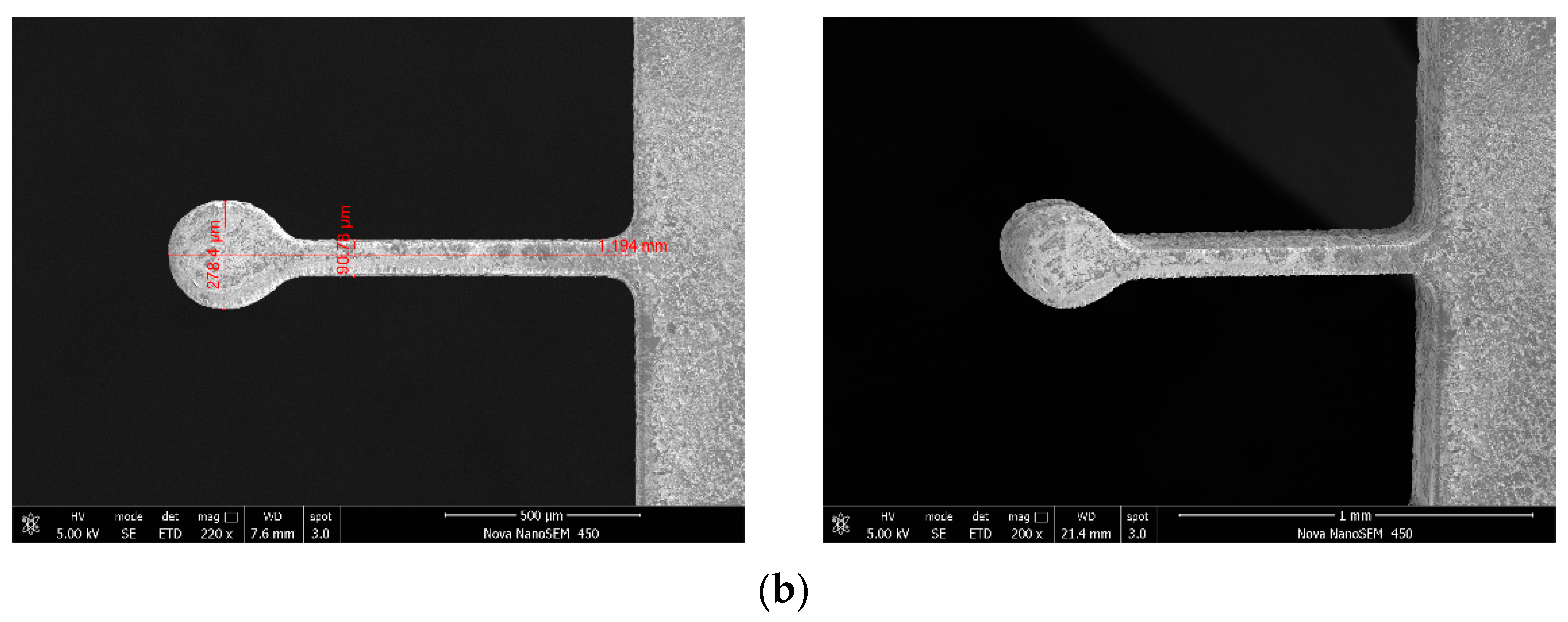 Micromachines 12 00125 g016b