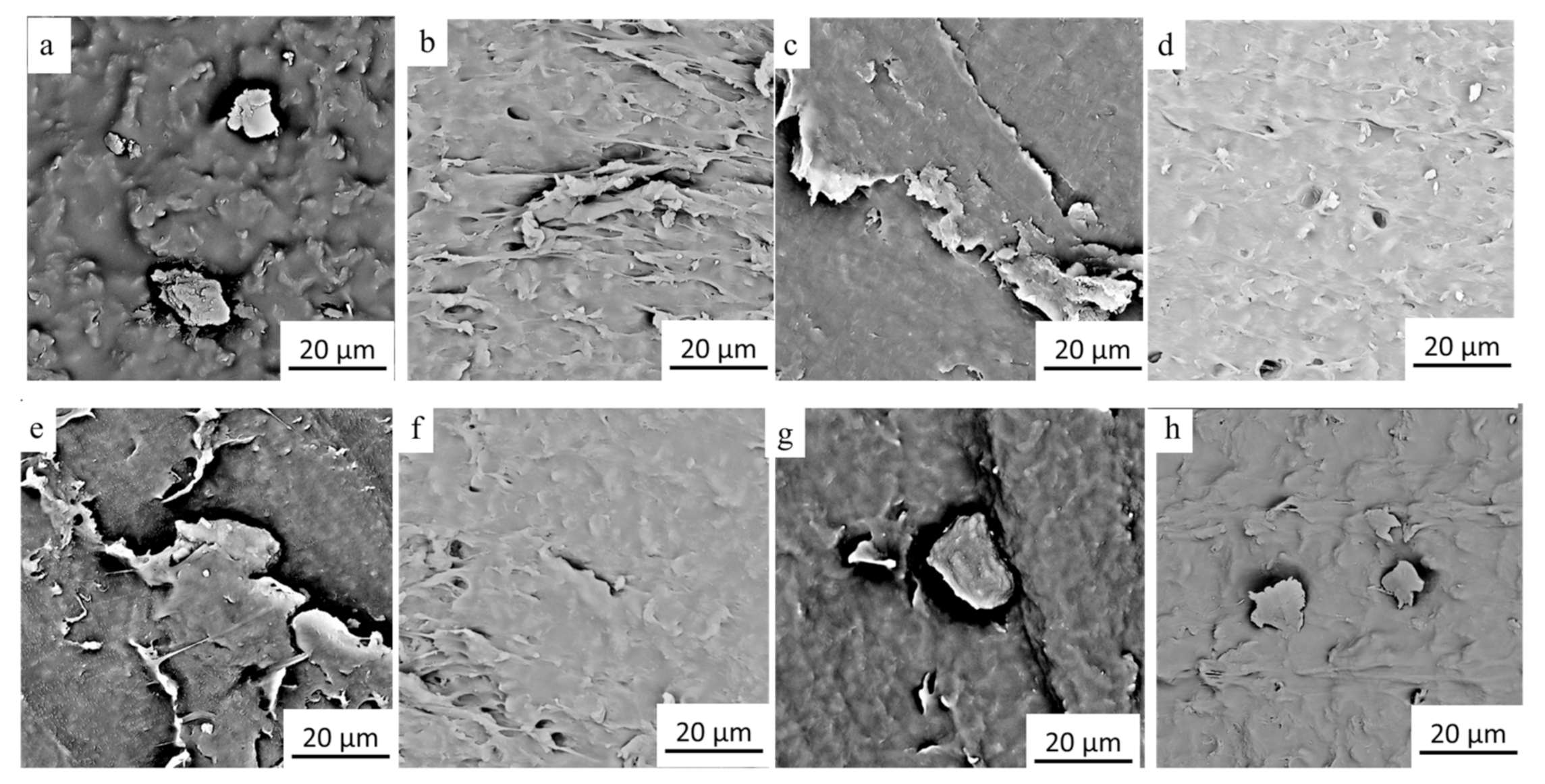 Micromachines 12 00129 g005 Micromachines 12 00129 g005