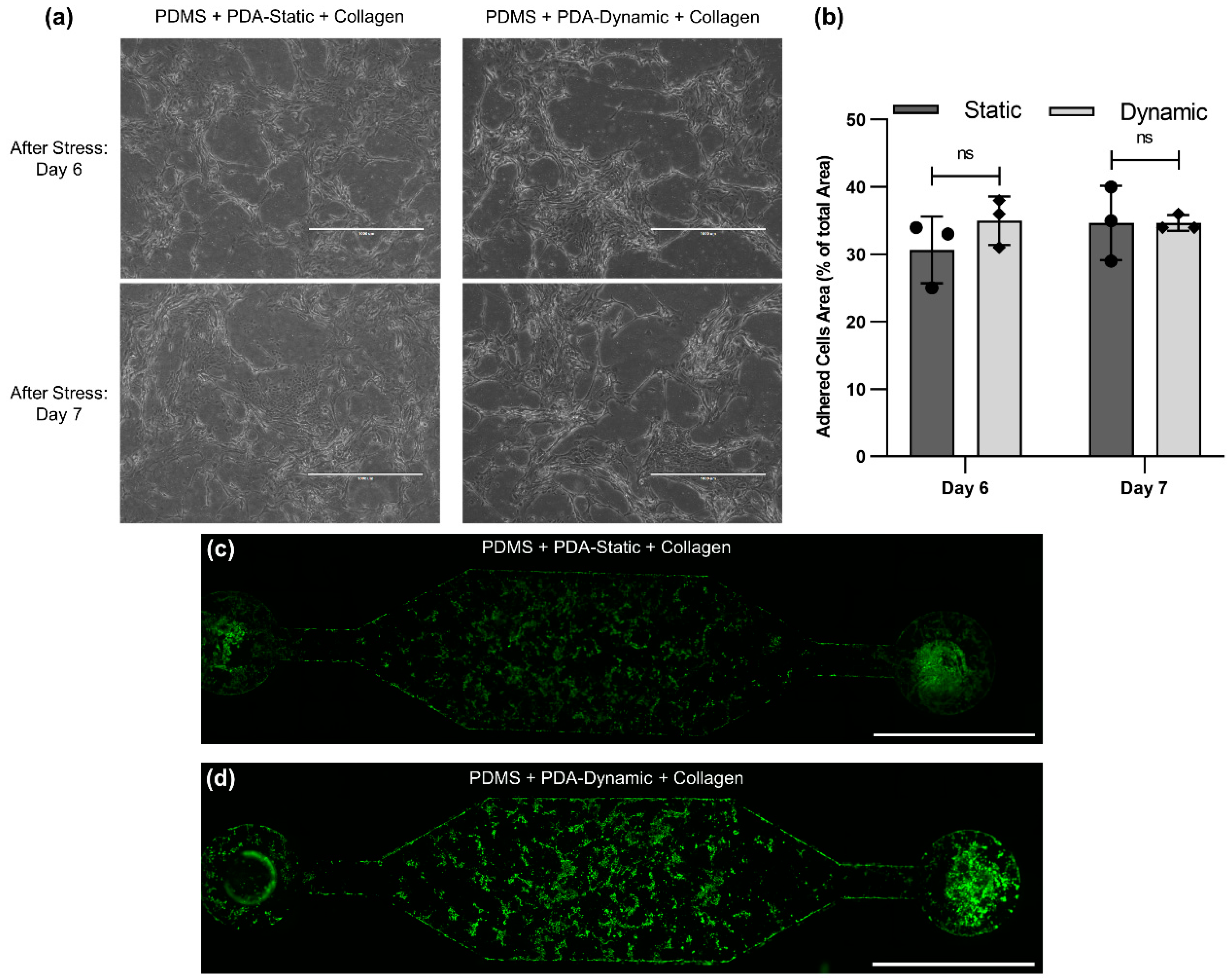 Micromachines 12 00132 g004 Micromachines 12 00132 g004