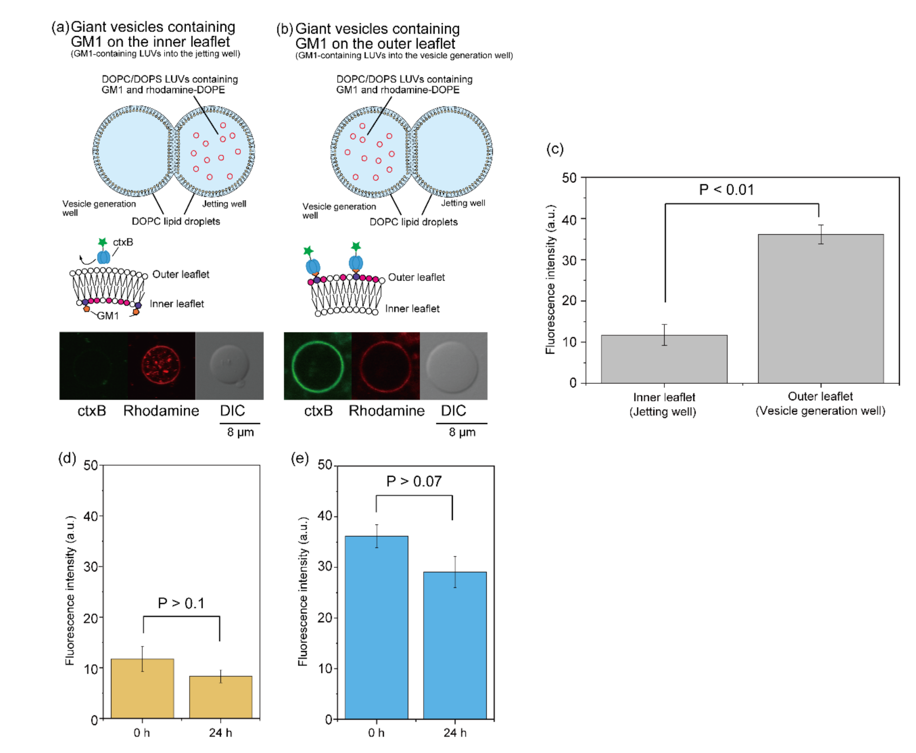 Micromachines 12 00133 g005