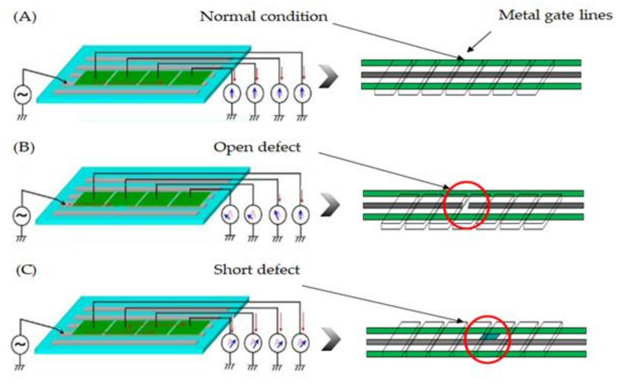 Micromachines 12 00135 g001