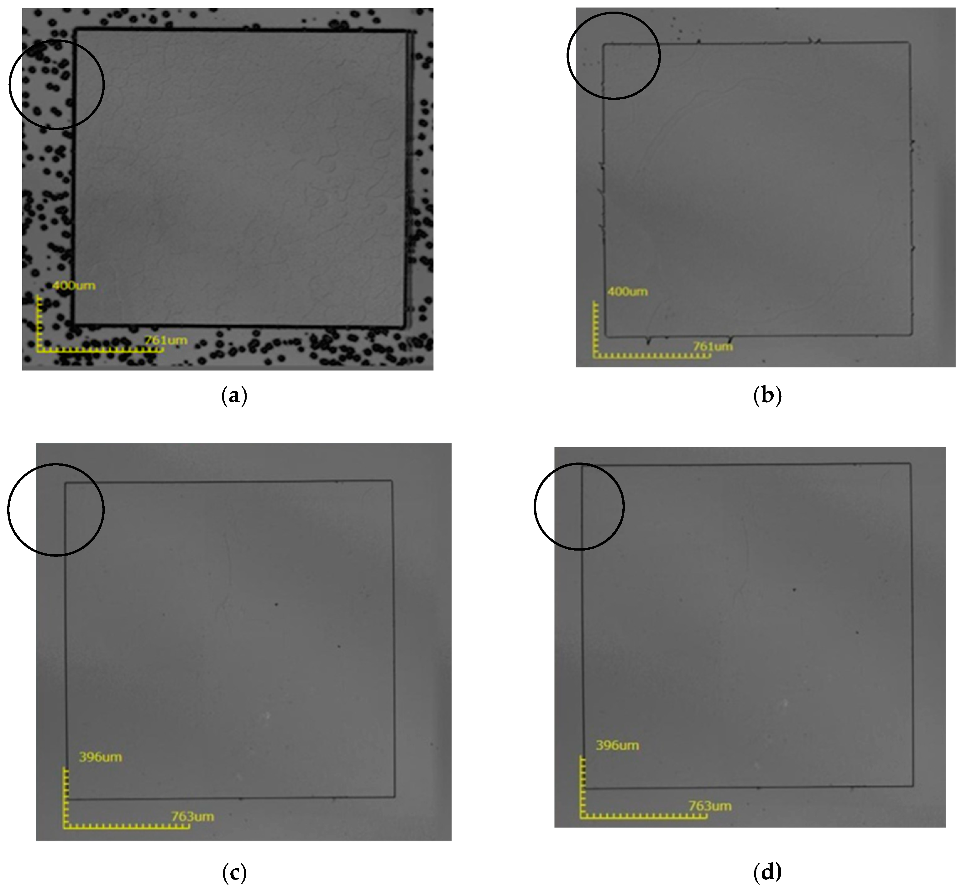 Micromachines 12 00136 g004