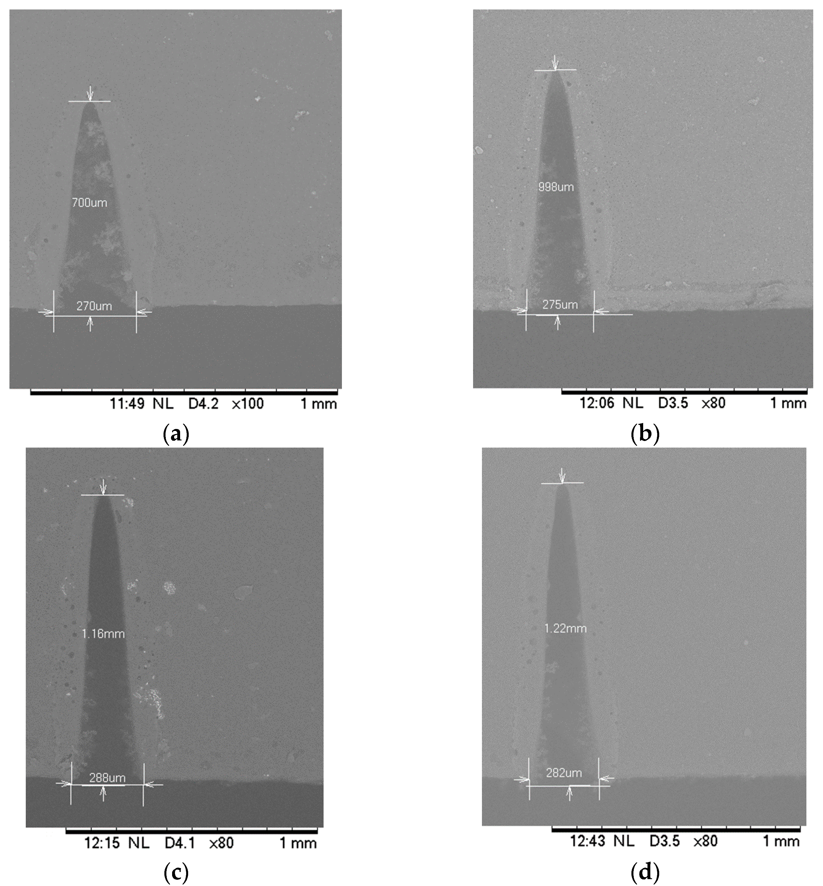 Micromachines 12 00138 g003