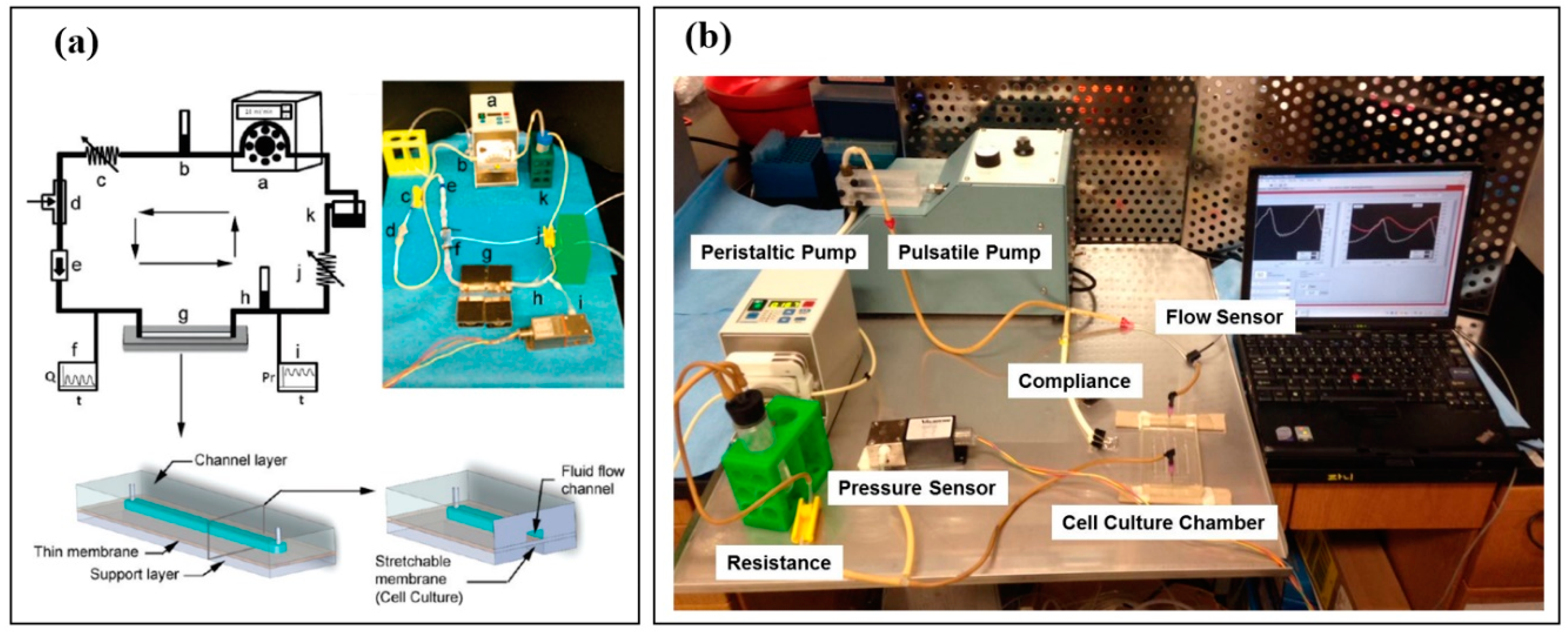 Micromachines 12 00139 g003