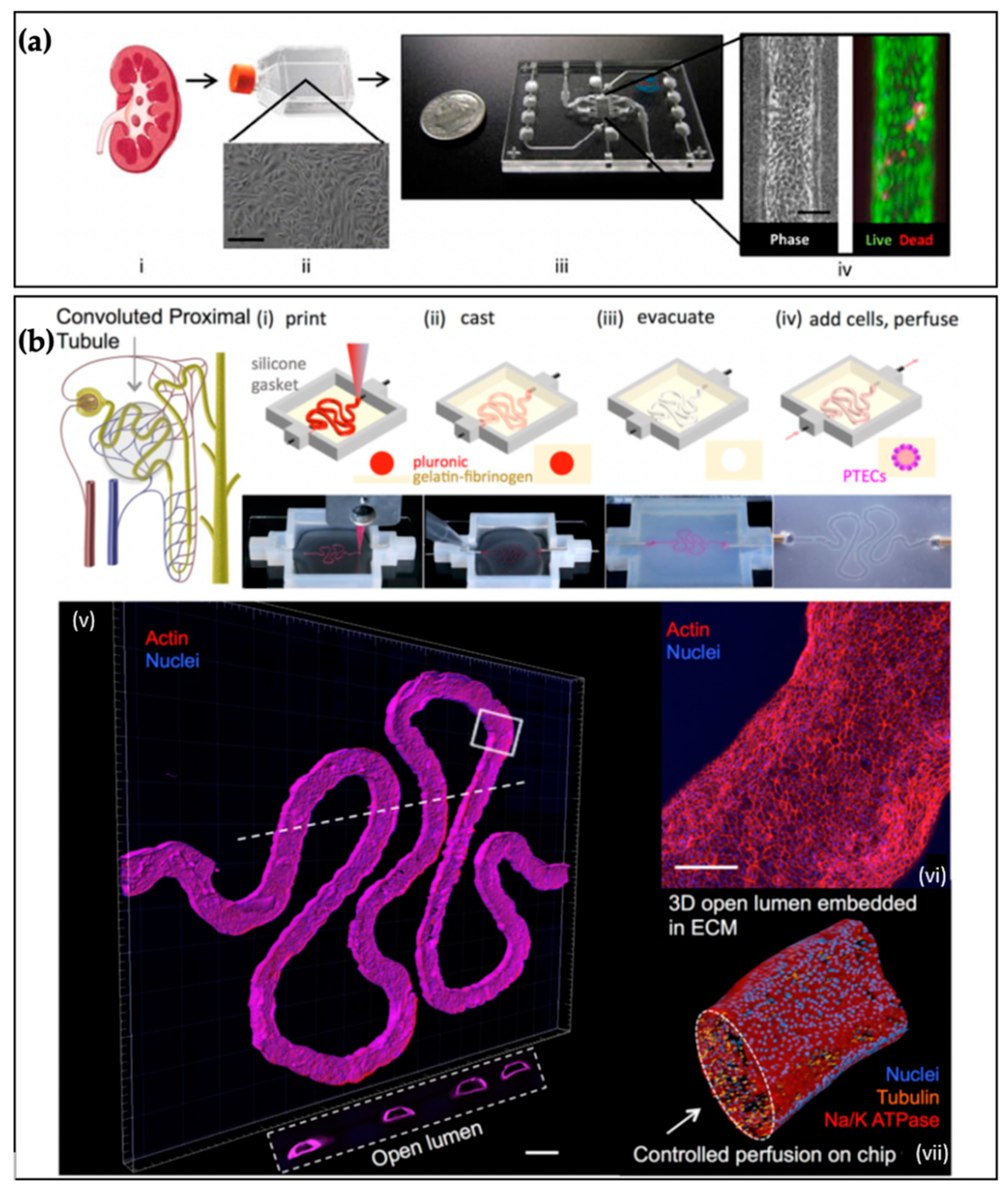 Micromachines 12 00139 g005