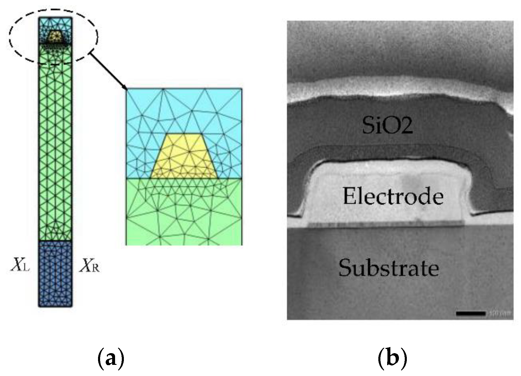 Micromachines 12 00141 g002 Micromachines 12 00141 g002
