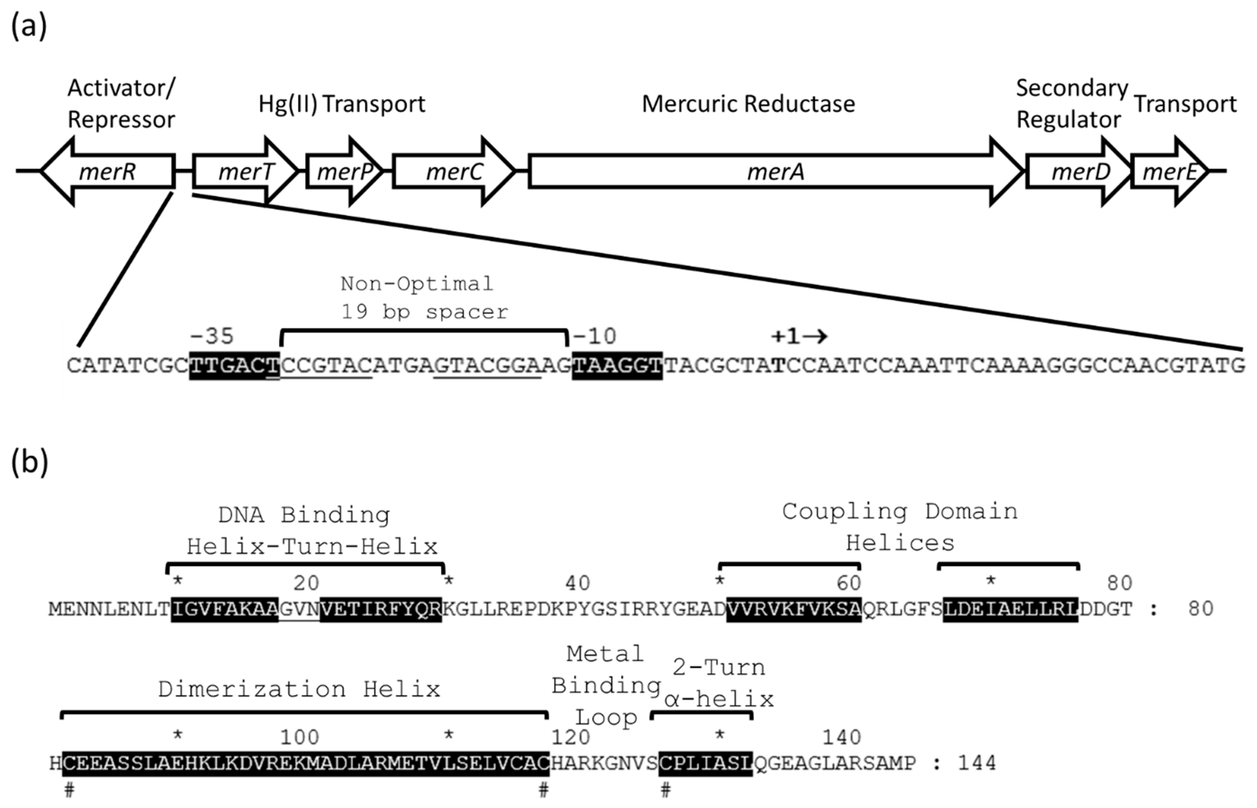 Micromachines 12 00142 g001 Micromachines 12 00142 g001