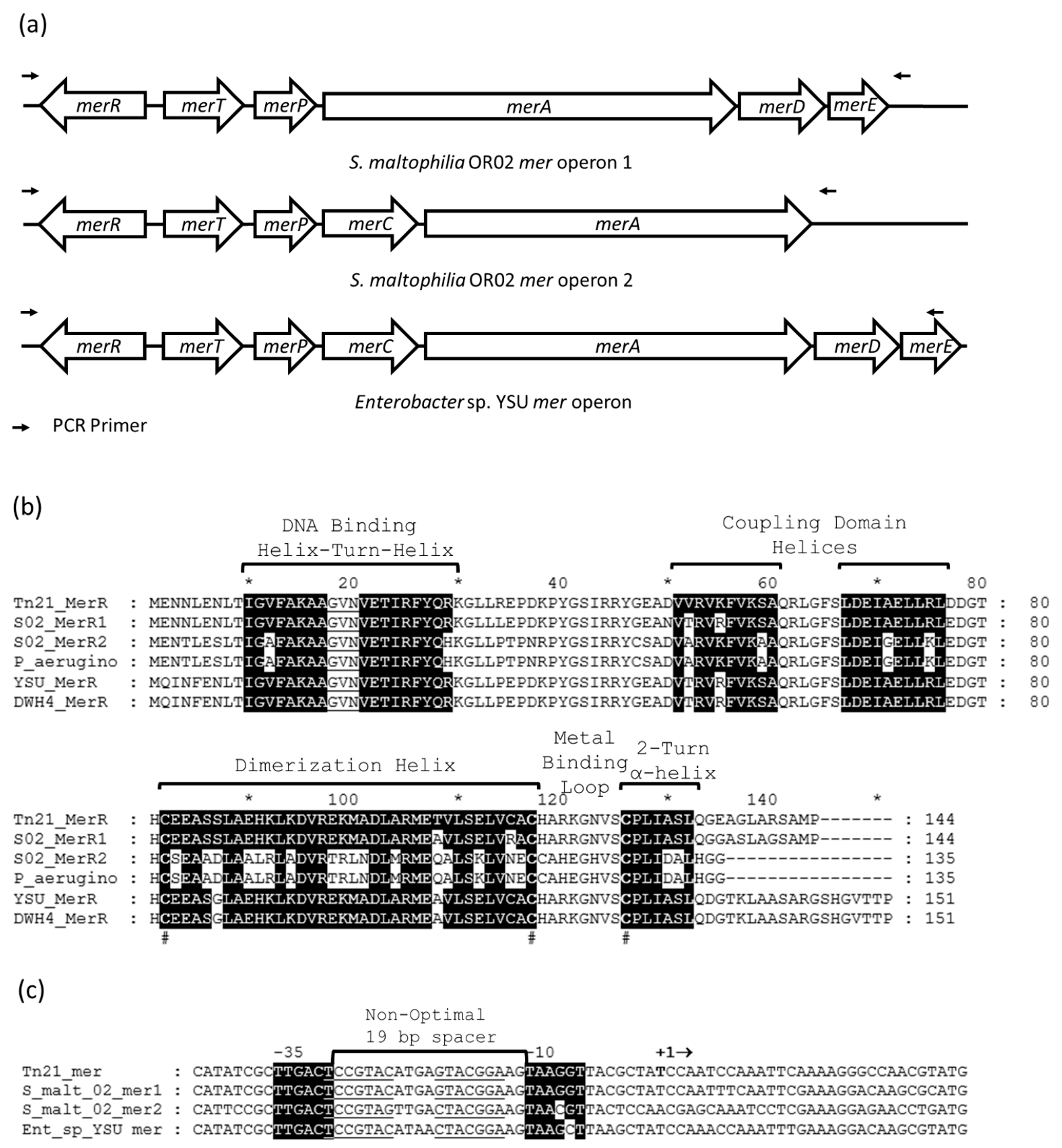 Micromachines 12 00142 g002 Micromachines 12 00142 g002