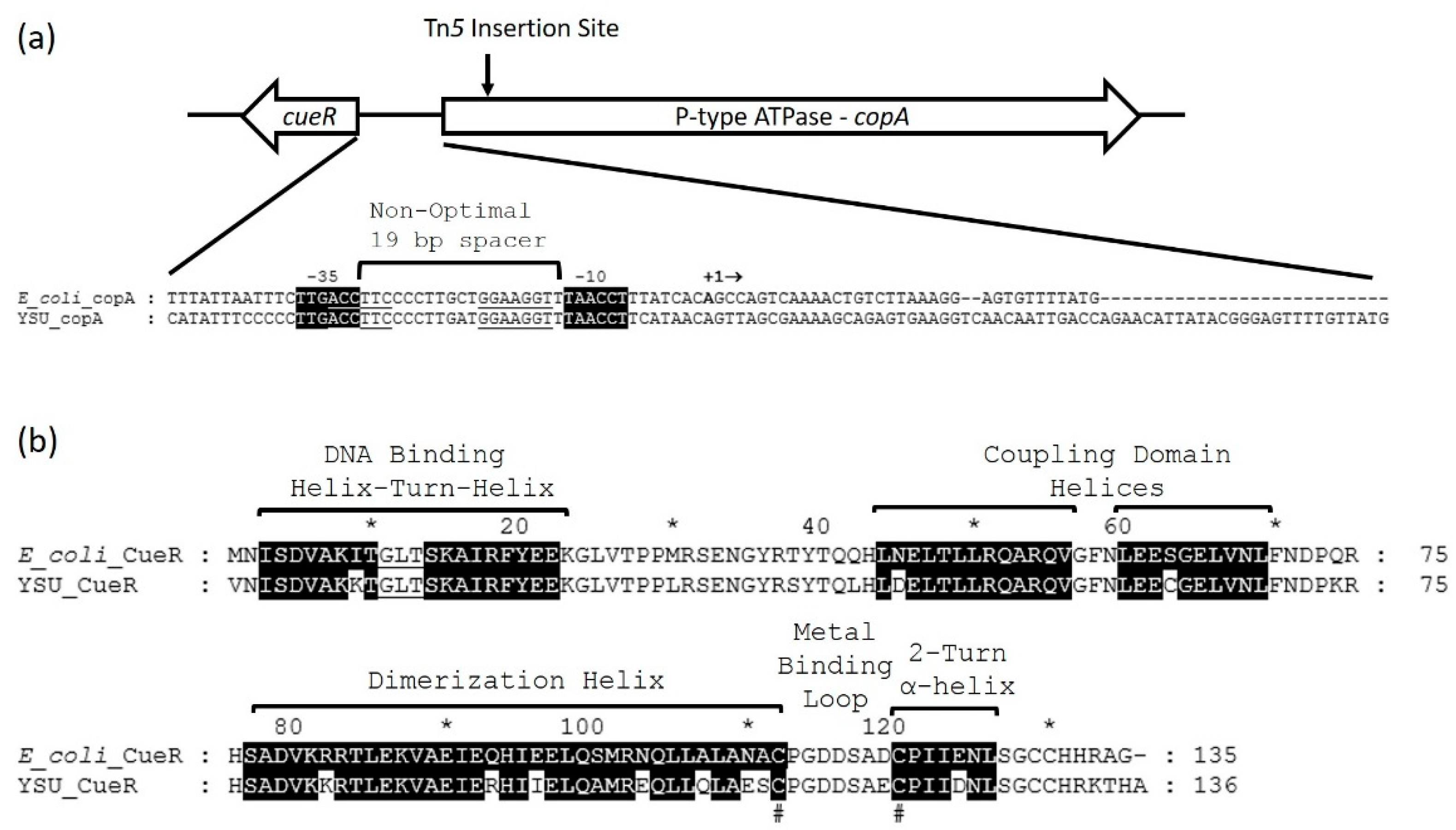 Micromachines 12 00142 g004 Micromachines 12 00142 g004