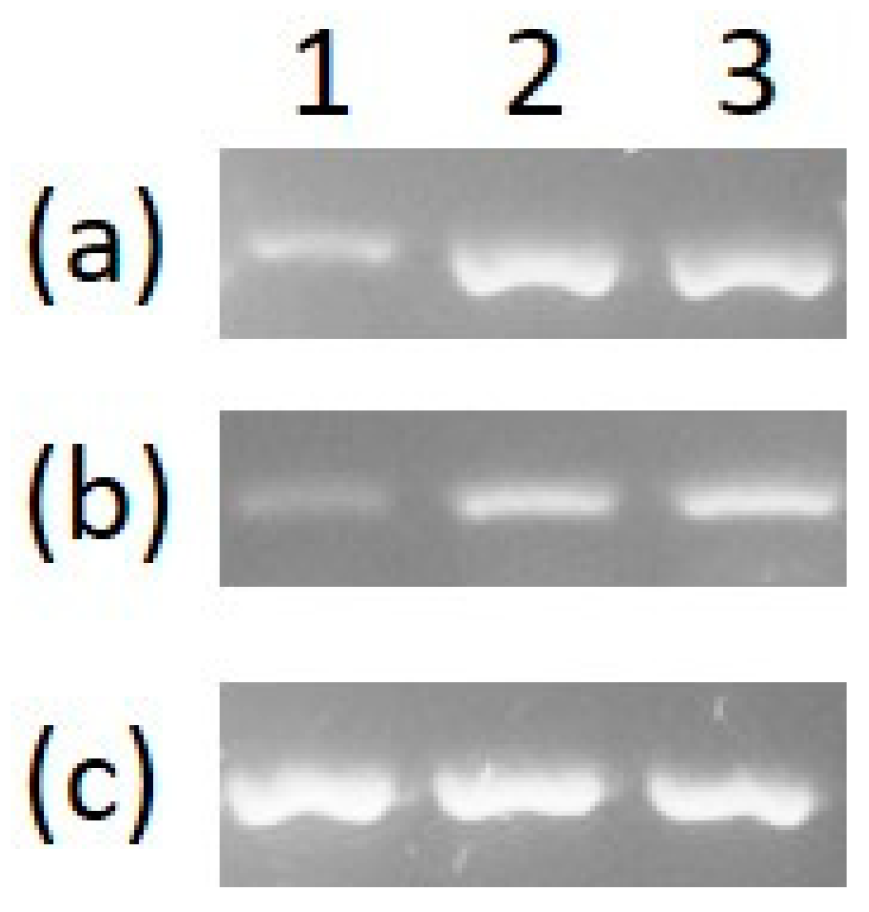 Micromachines 12 00142 g006 Micromachines 12 00142 g006