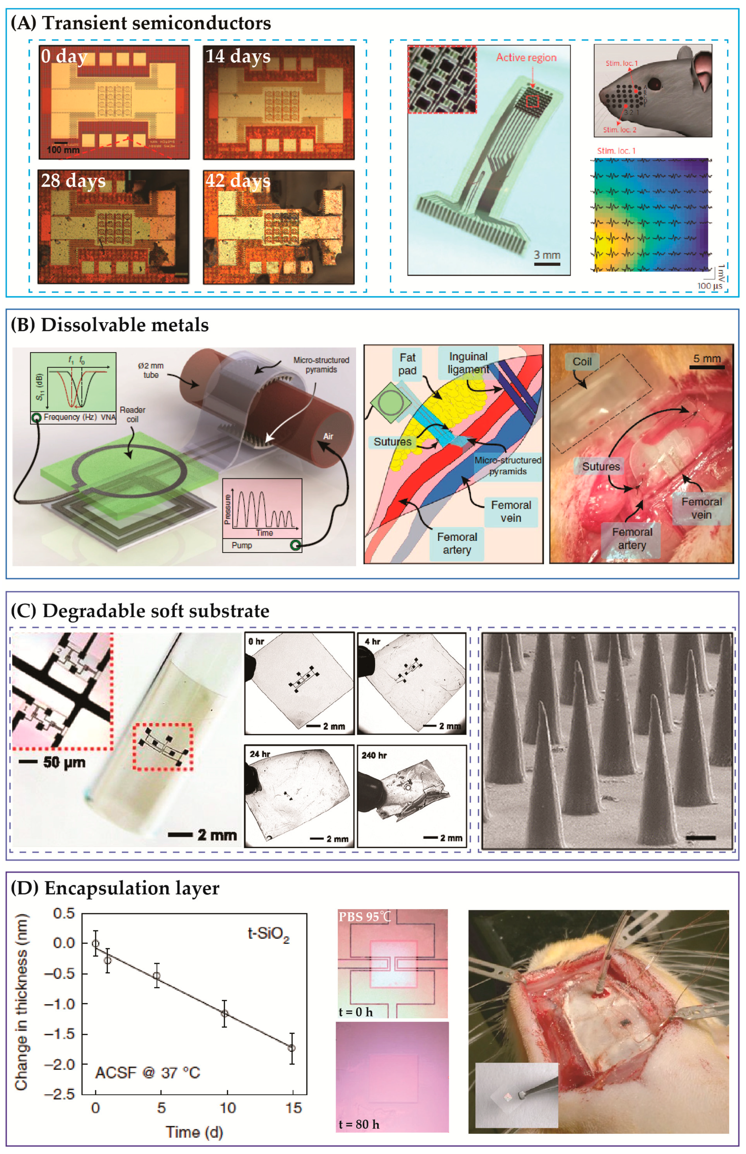 Micromachines 12 00157 g001 Micromachines 12 00157 g001