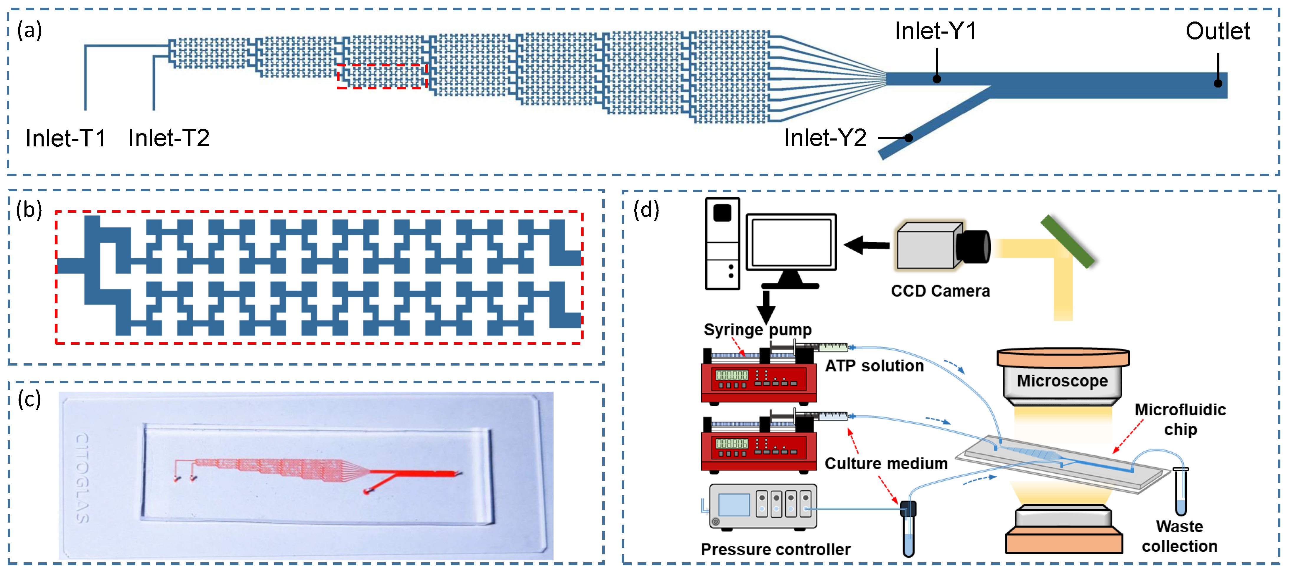 Micromachines 12 00161 g001 Micromachines 12 00161 g001