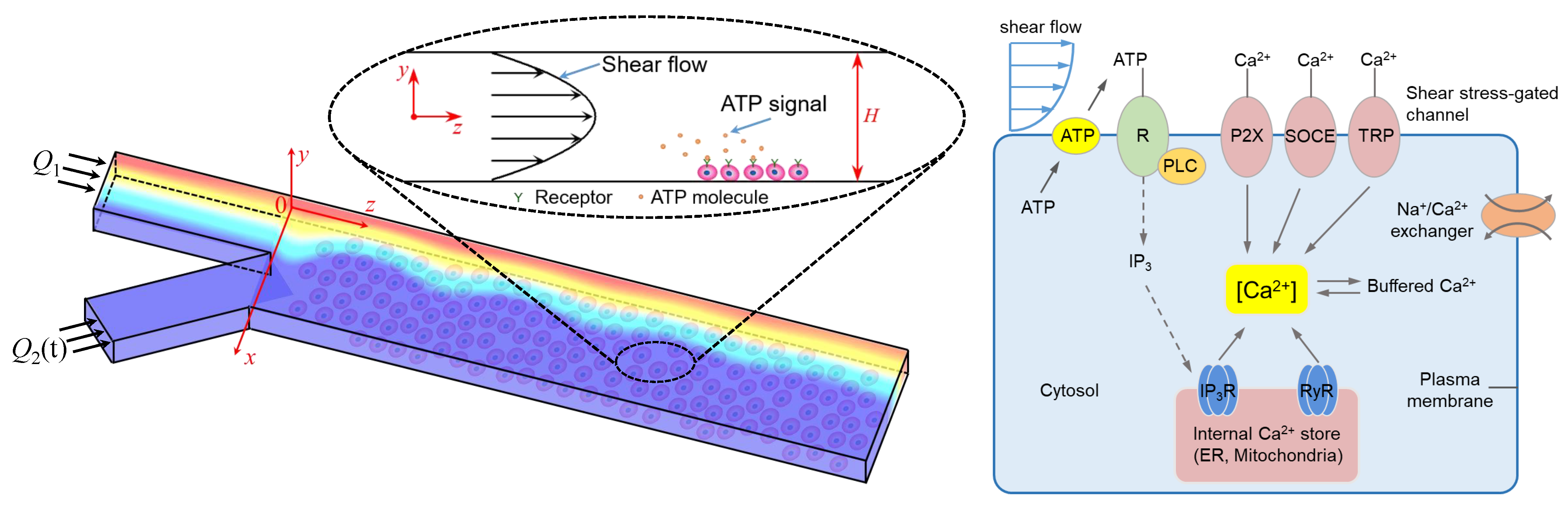 Micromachines 12 00161 g002 Micromachines 12 00161 g002