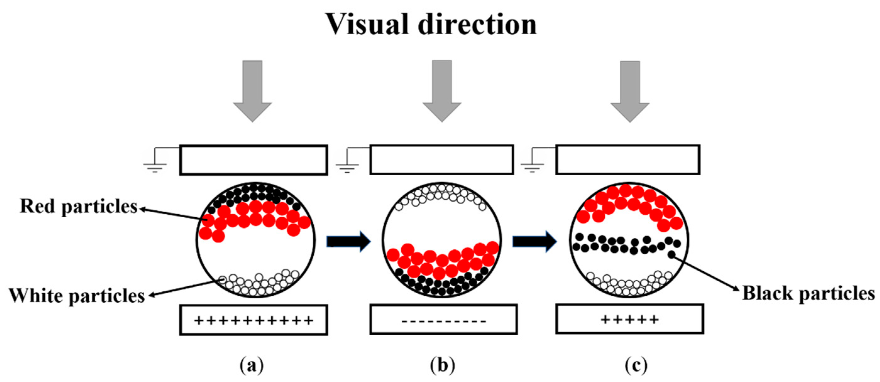 wave and particle behaviors of lcd displays made in china