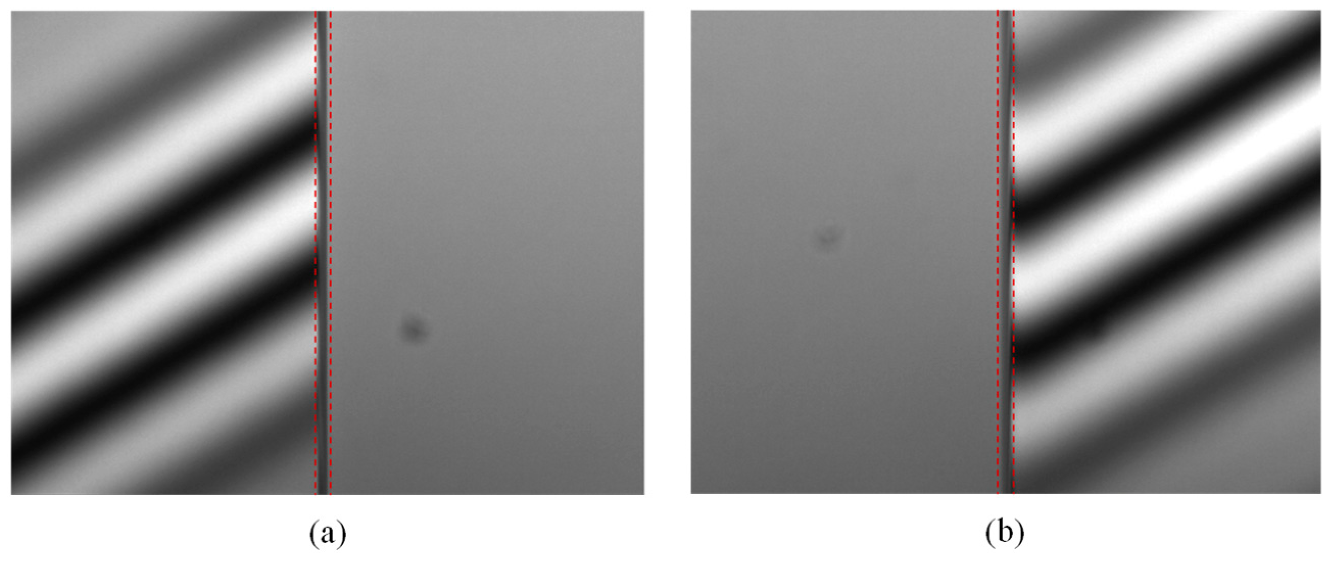 Micromachines 12 00164 g013