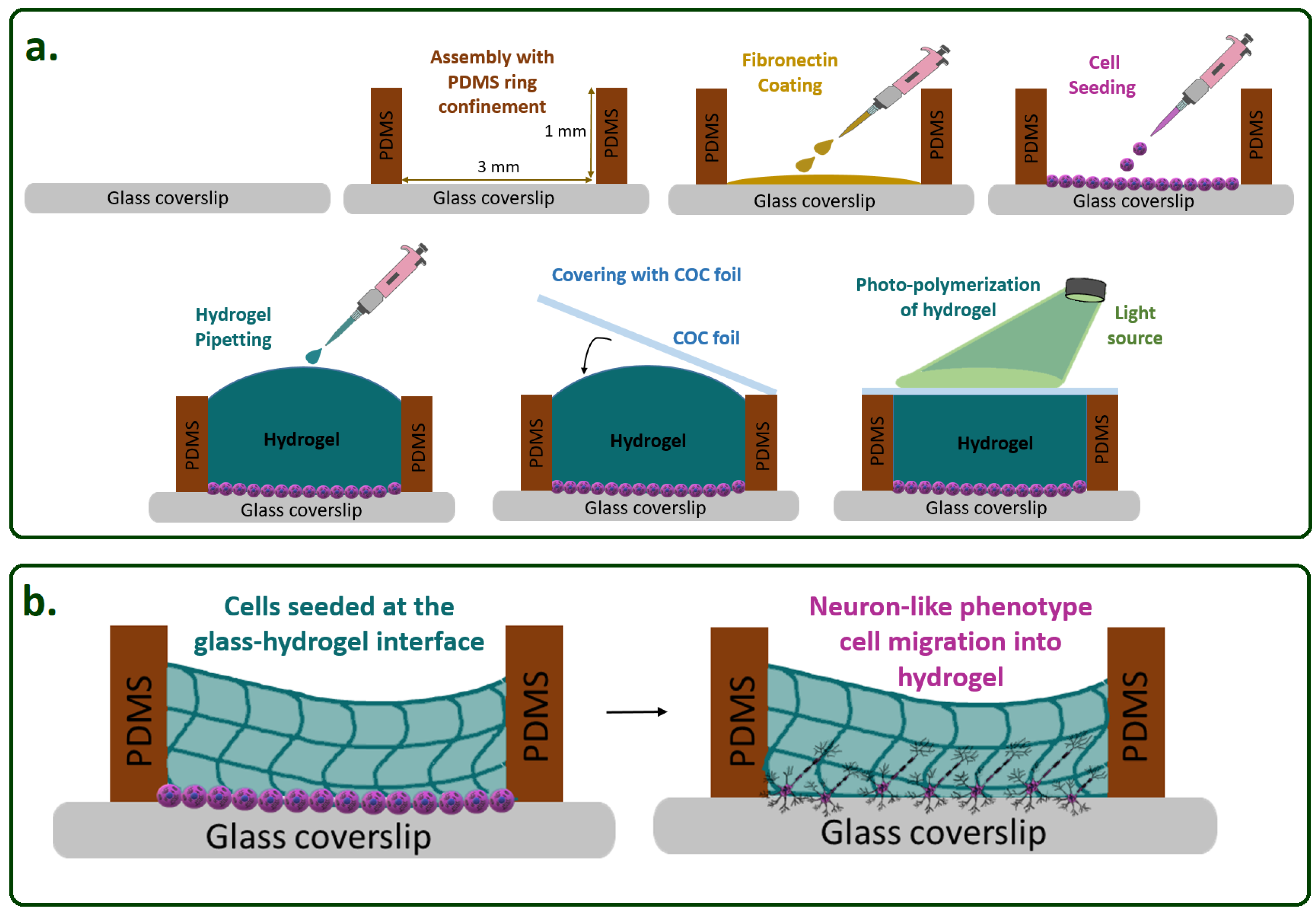 Micromachines Free FullText StifftoSoft Transition from Glass to