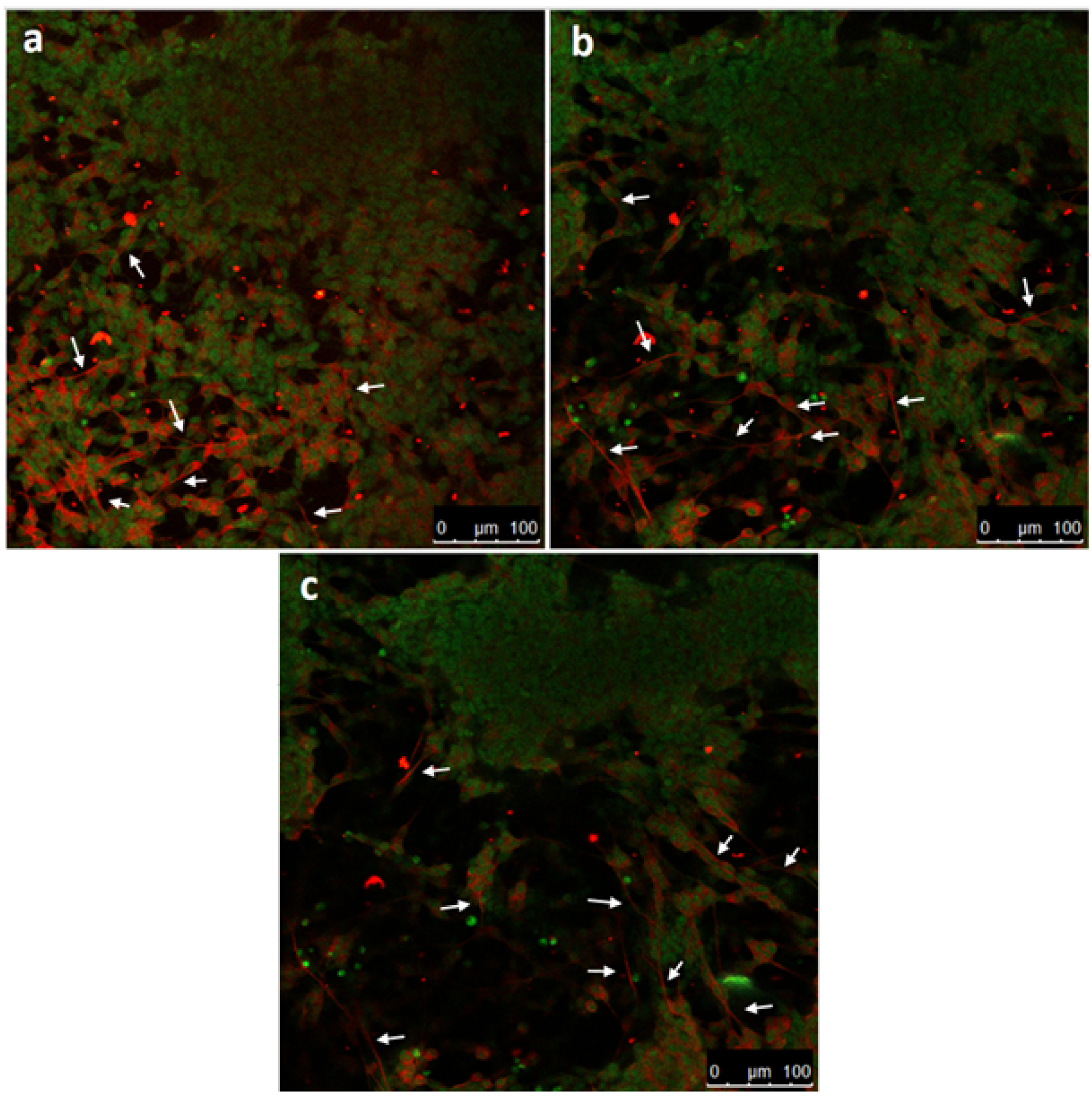 Micromachines 12 00165 g005 Micromachines 12 00165 g005