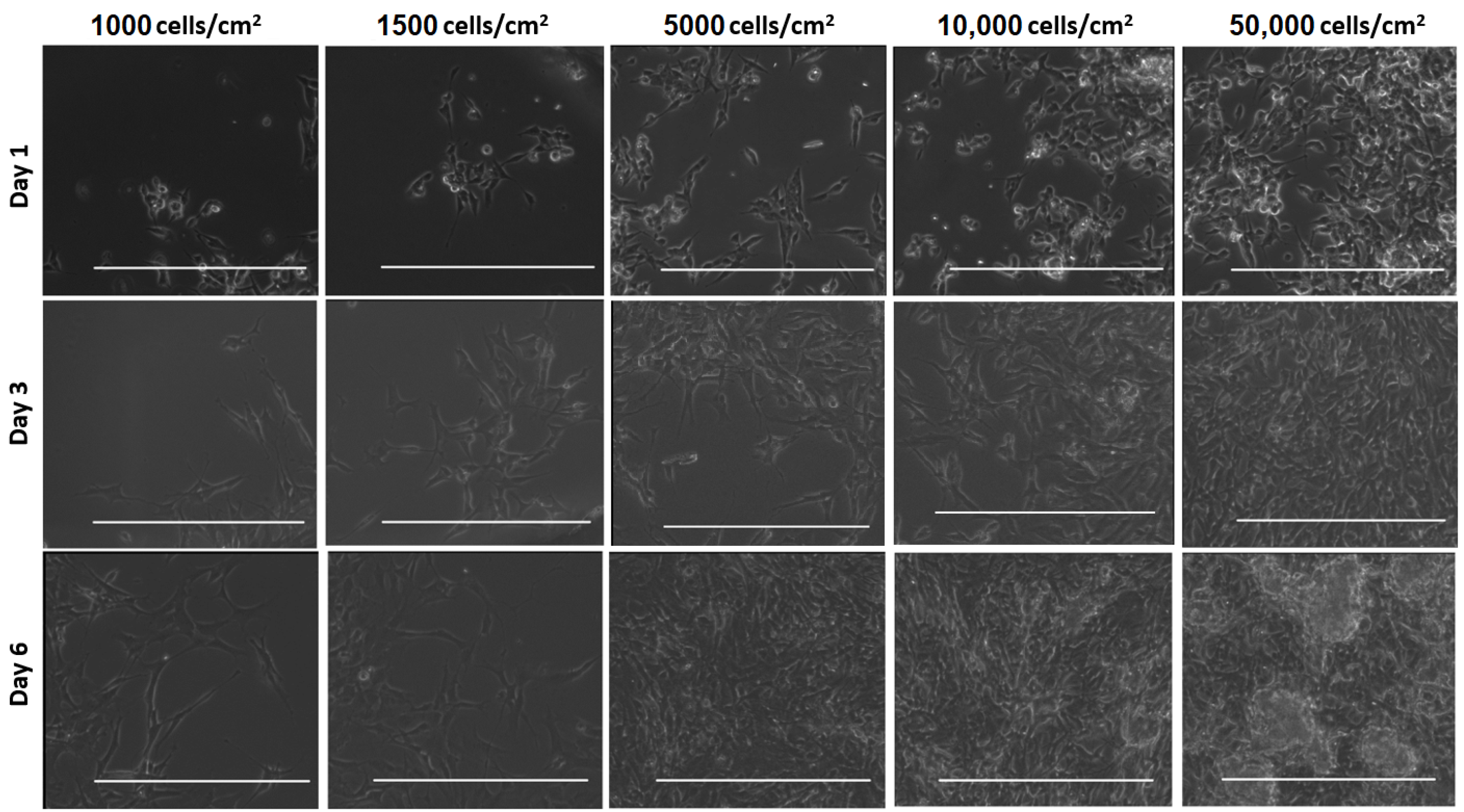 Micromachines 12 00165 g006 Micromachines 12 00165 g006