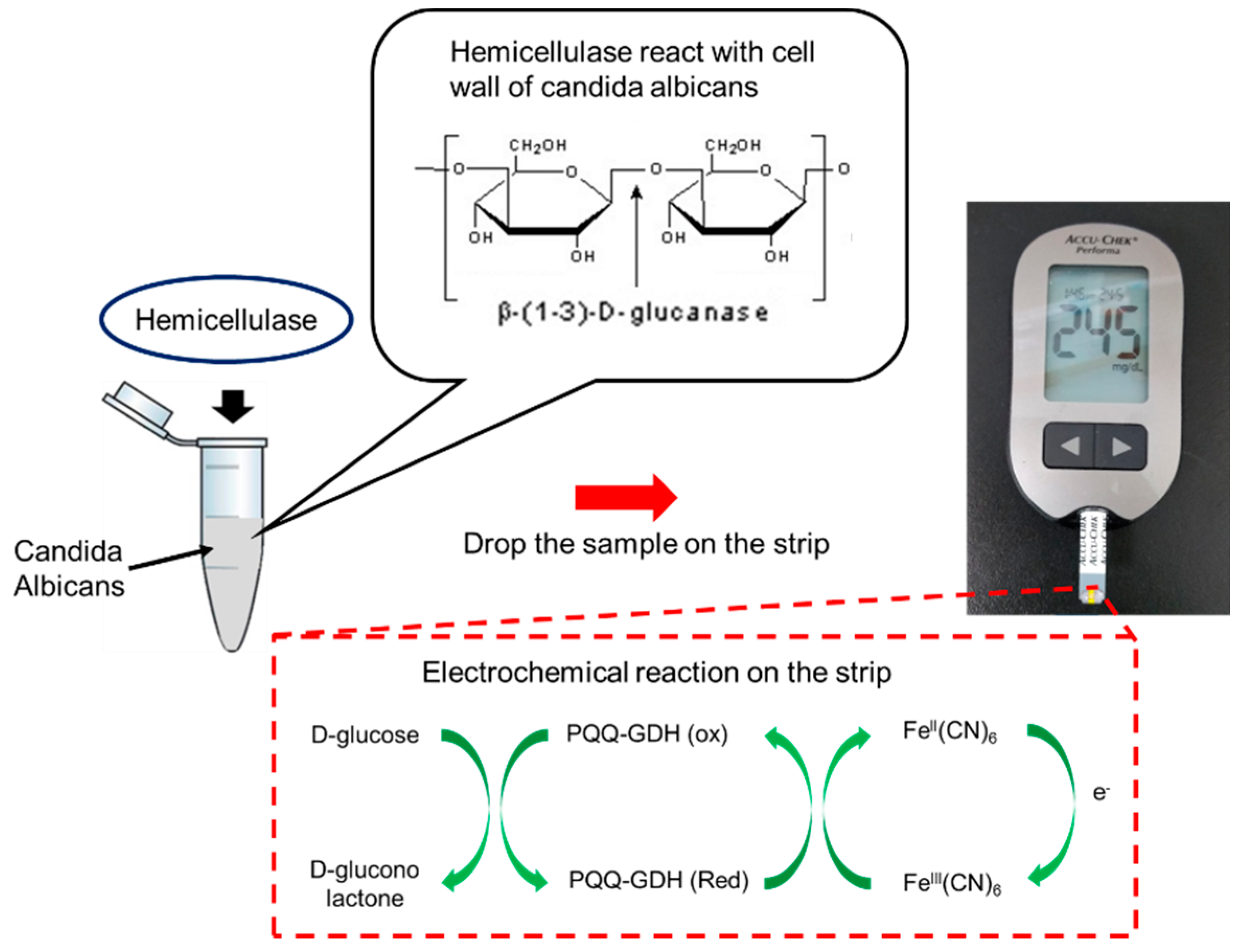Electrochemical sensors Electrochemical sensors