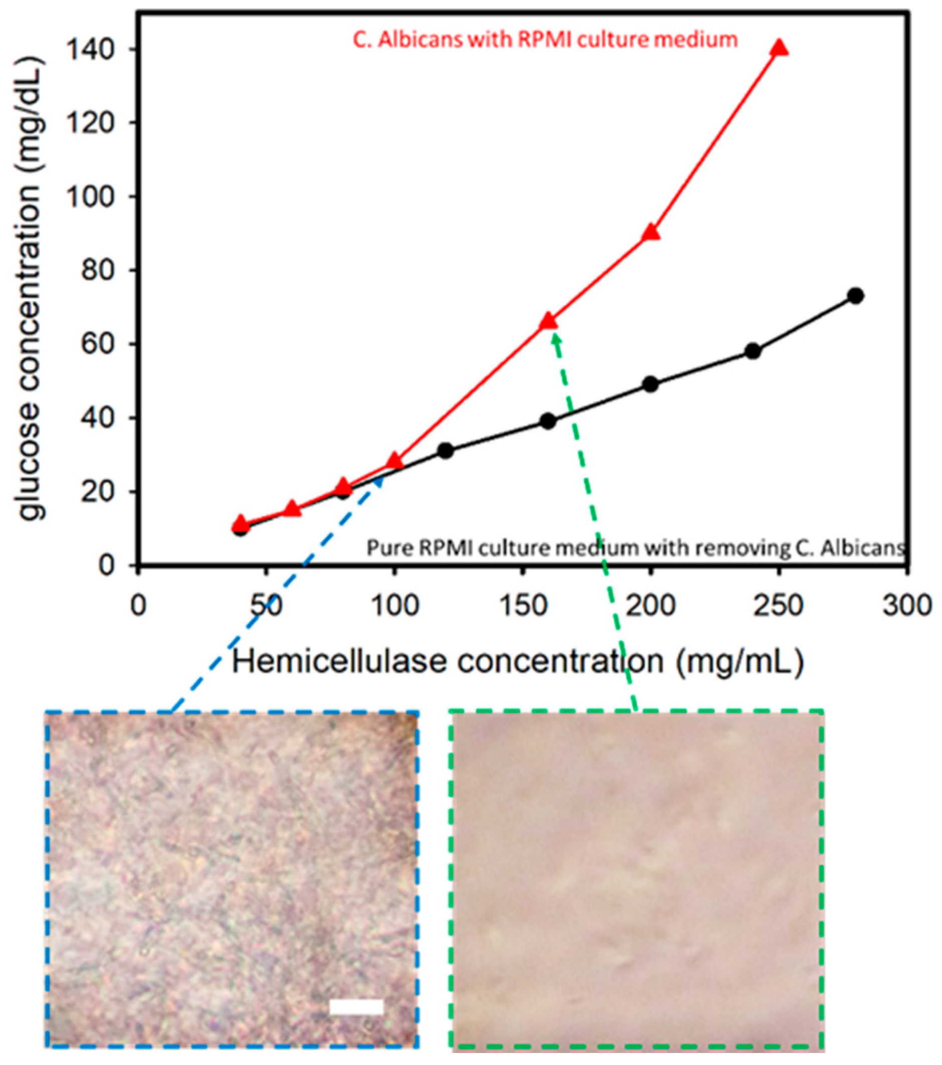 Micromachines 12 00166 g003 Micromachines 12 00166 g003